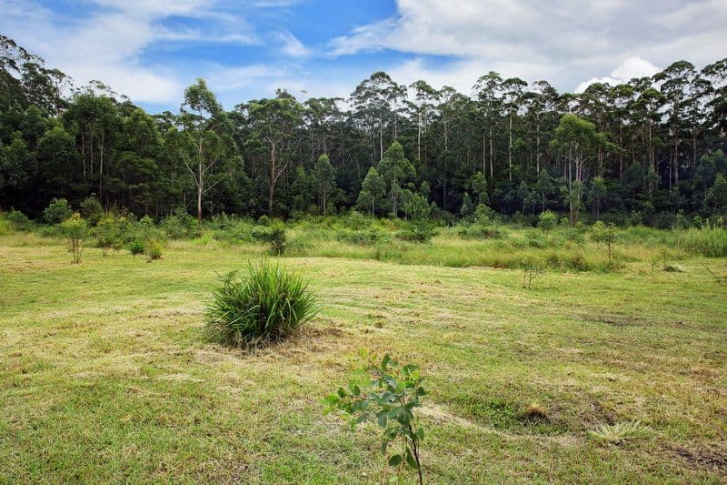 107 Battunga Drive, Tomerong NSW 2540, Tomerong - Thumbnail 5