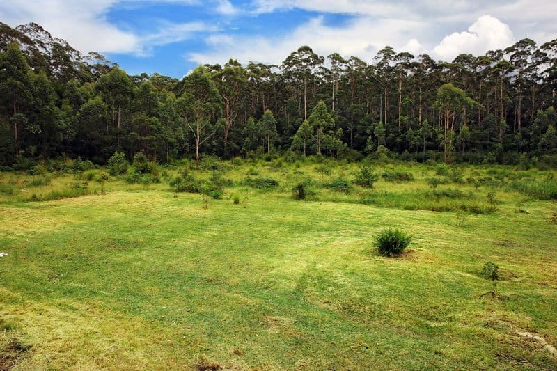 107 Battunga Drive, Tomerong NSW 2540, Tomerong - Thumbnail 8