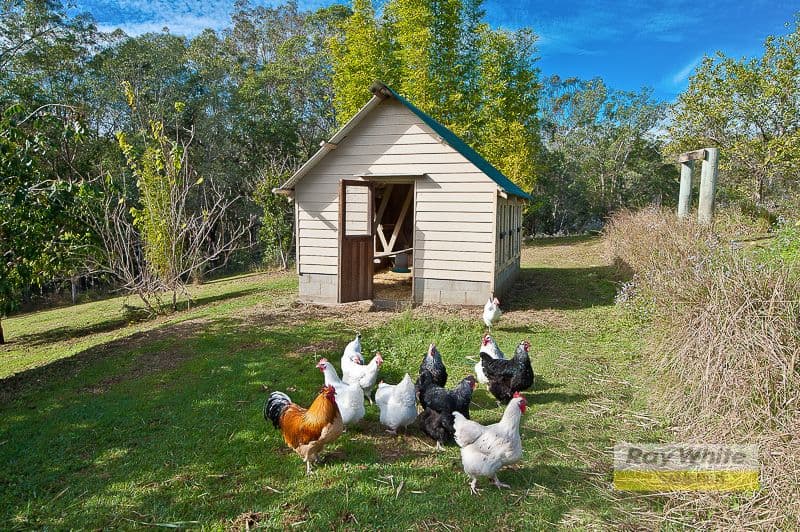 60 Dietz Court, SAMSONVALE QLD 4520, Samsonvale - Thumbnail 2