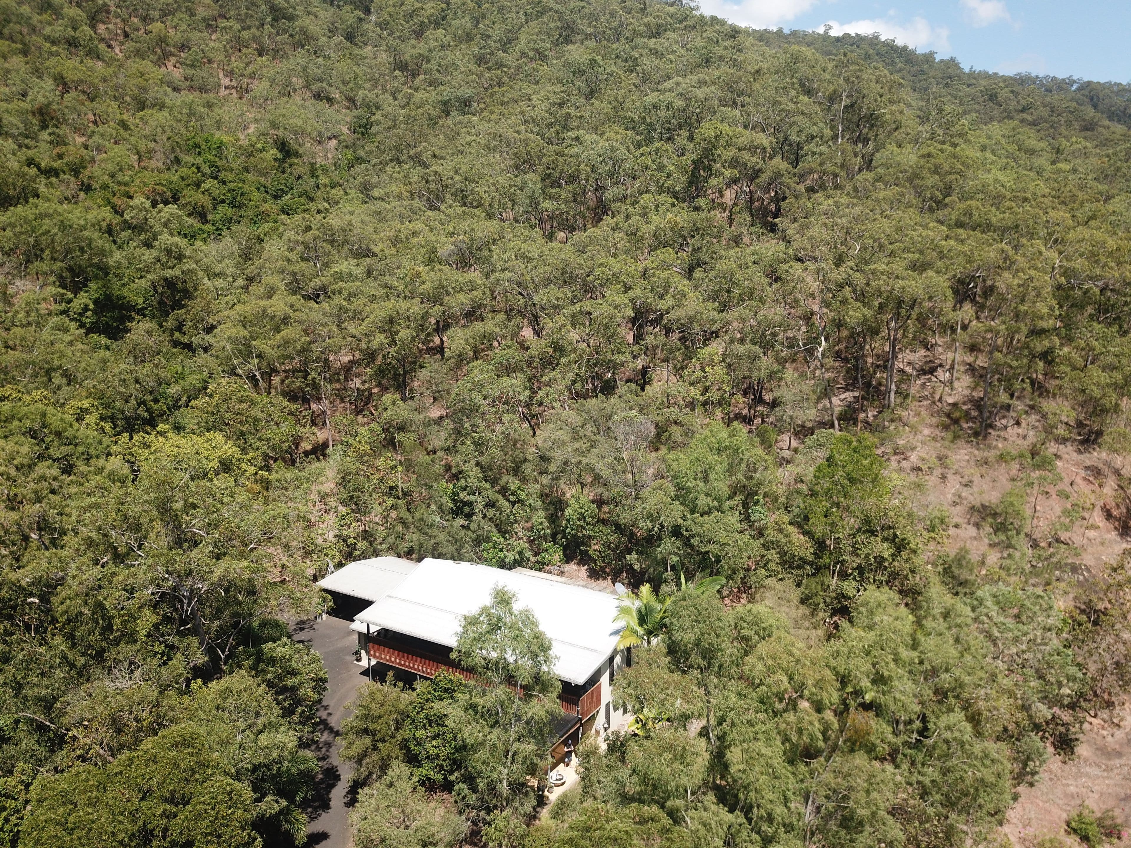 3 Madon Close, Gordonvale QLD 4865, Gordonvale - Thumbnail 6