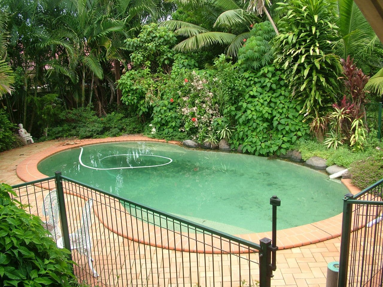15 Ardargie Street, SUNNYBANK QLD 4109, Sunnybank - Thumbnail 4