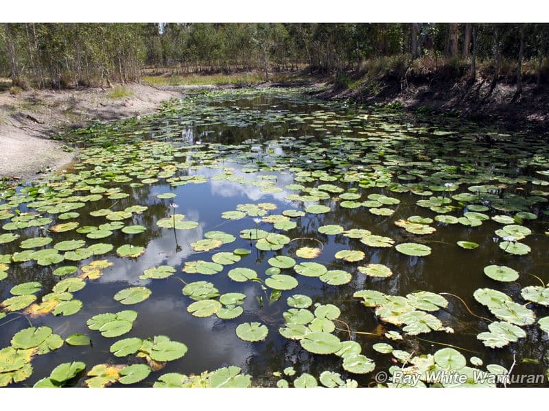 MELDALE QLD 4510, Meldale - Thumbnail 5