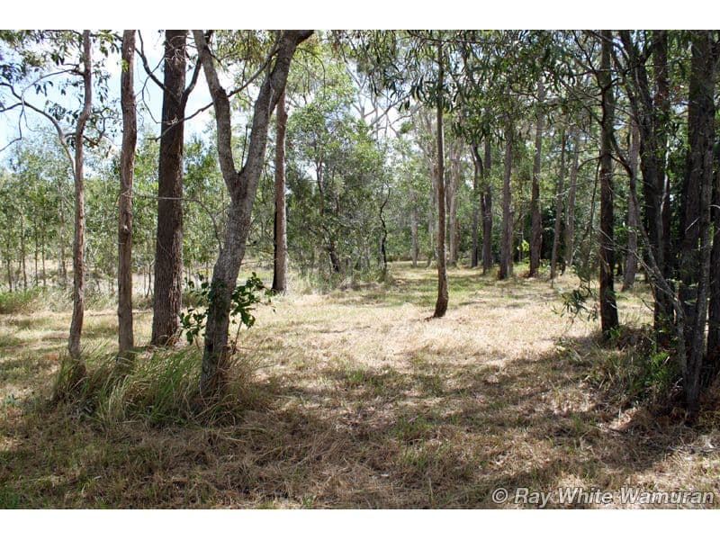 MELDALE QLD 4510, Meldale - Thumbnail 7