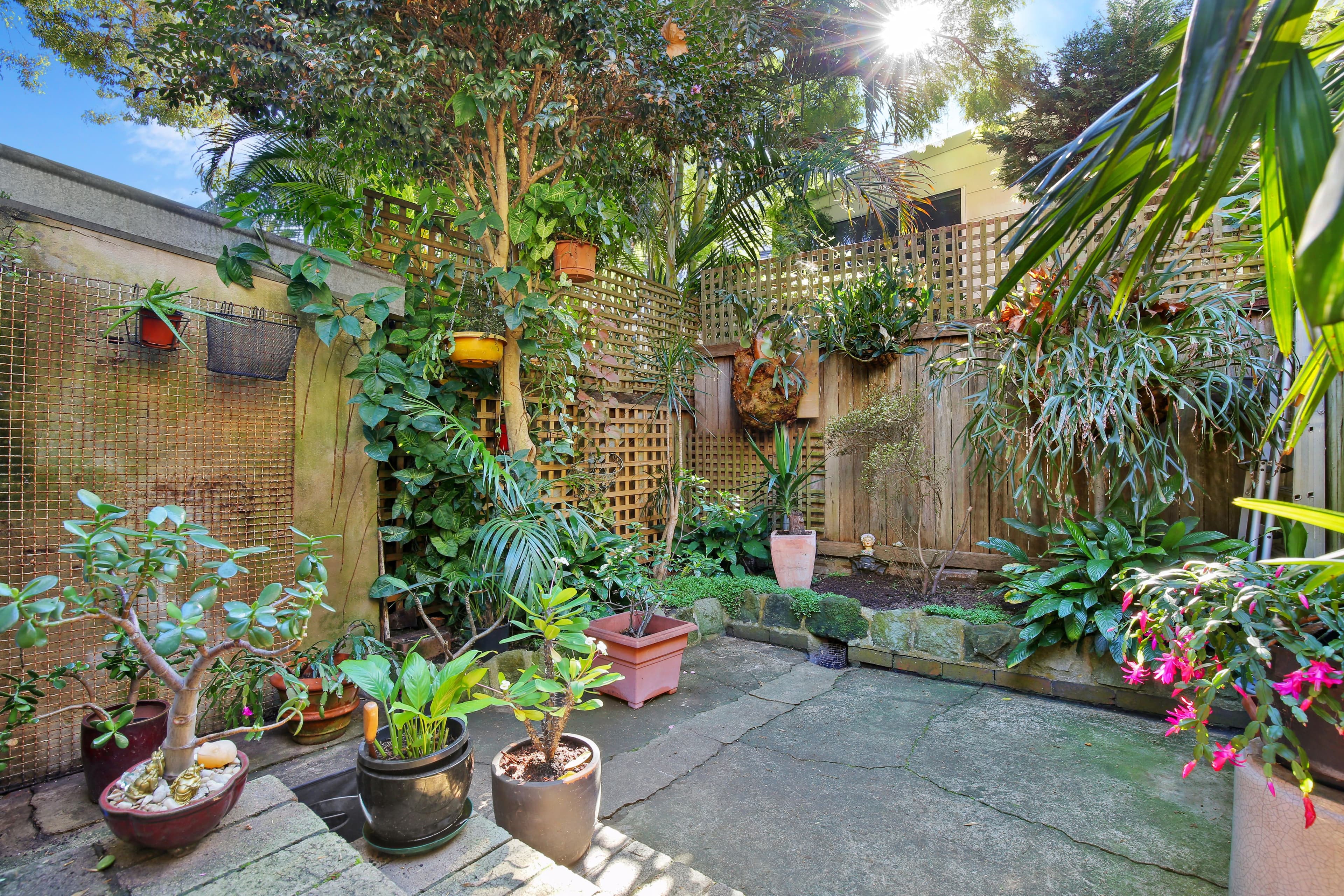 18 Little Albion Street, Surry Hills - Thumbnail 6