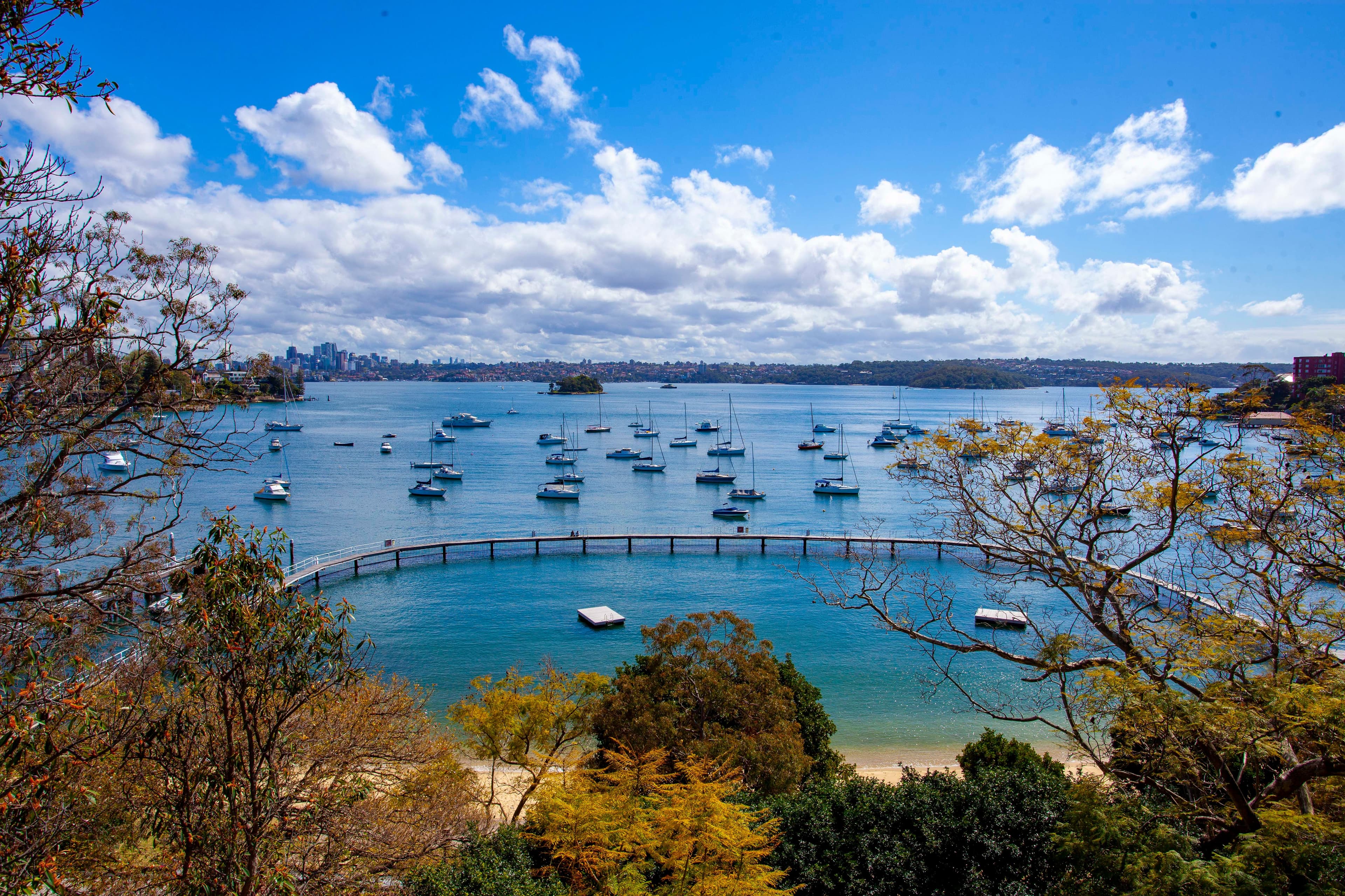 522 New South Head Road, Double Bay NSW 2028, Double Bay - Thumbnail 7