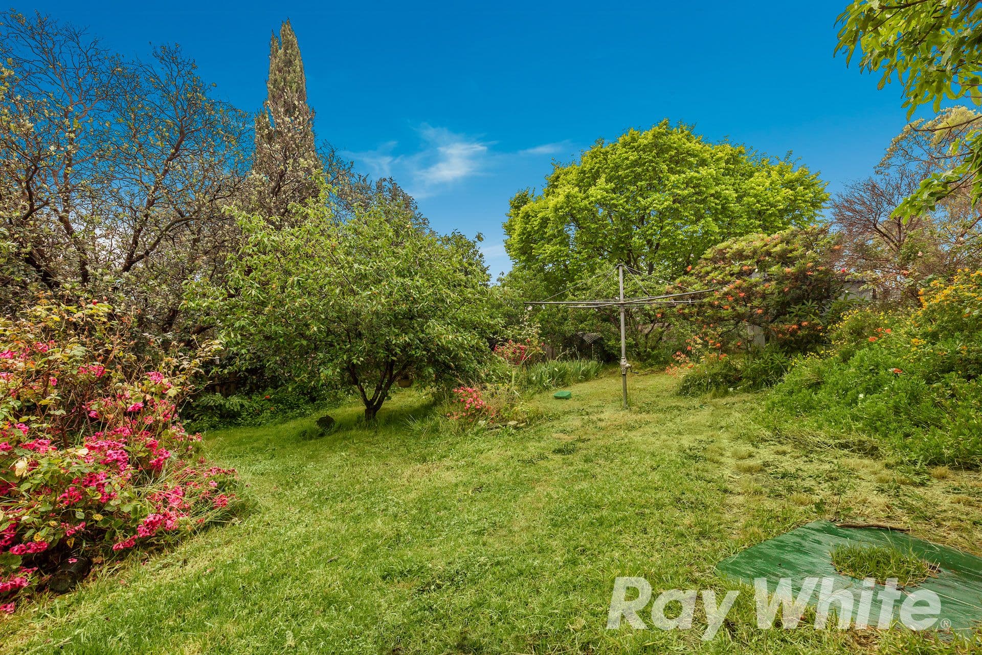 29 Christina Street, Burwood VIC 3125, Burwood - Thumbnail 5