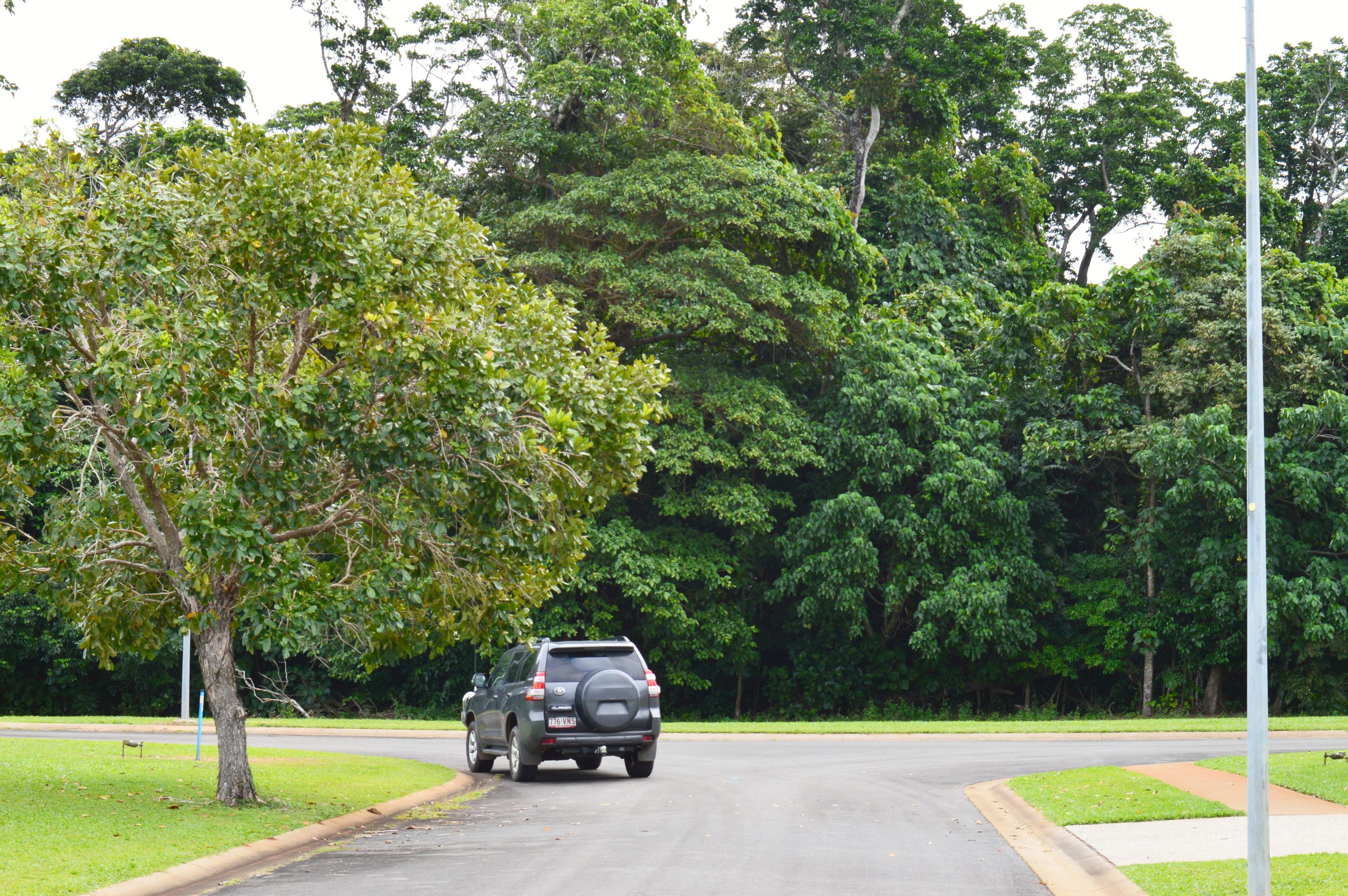 Lot 60 Seagull Close, Mission Beach QLD 4852, Mission Beach - Thumbnail 3