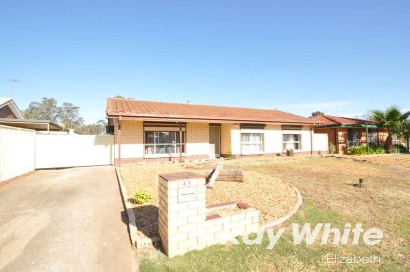 43 Carabeen Crescent, ANDREWS FARM SA 5114, Andrews Farm - Thumbnail 3