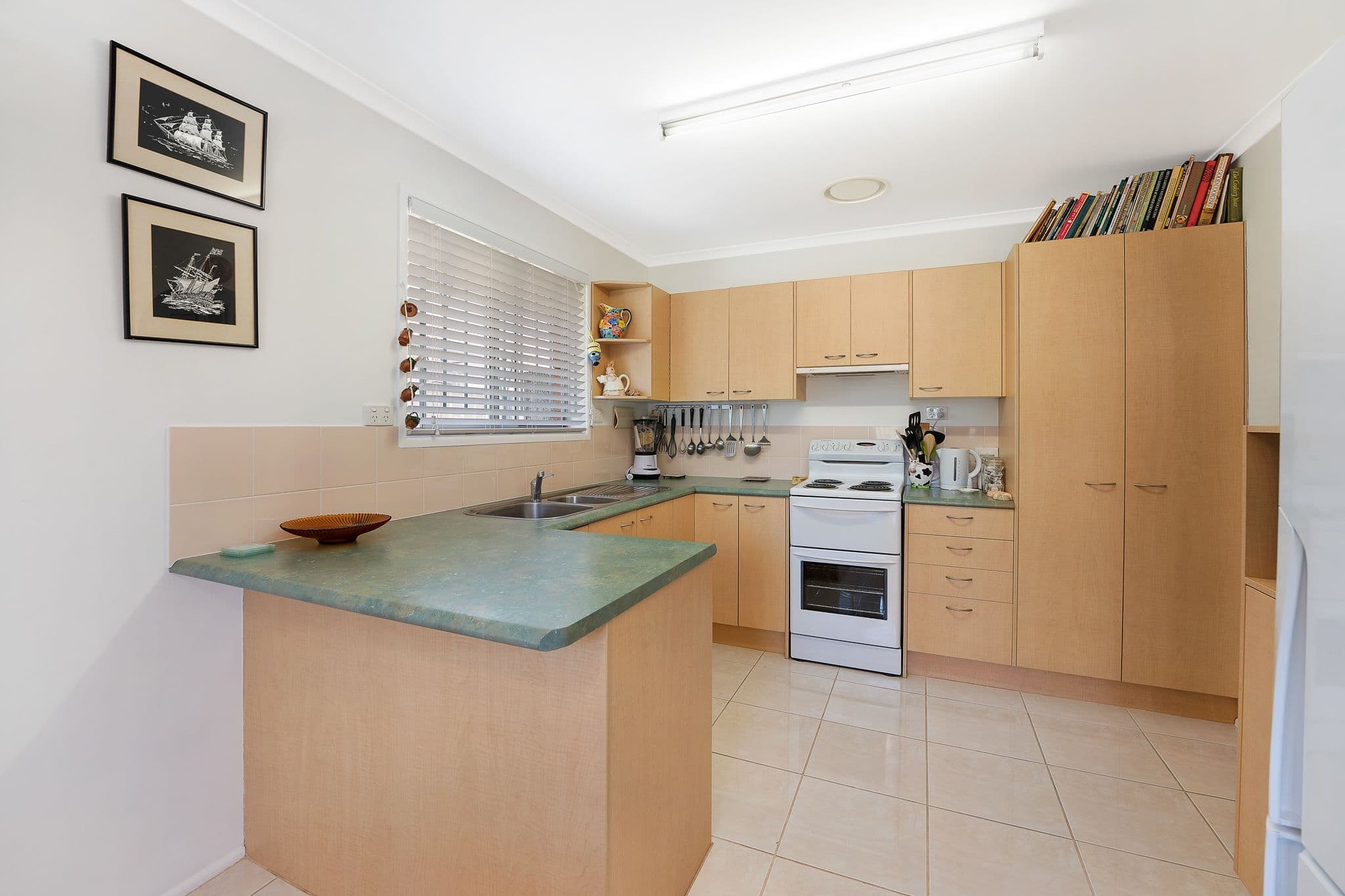 50 Susan Avenue, Kippa-Ring QLD 4021, Kippa-Ring - Thumbnail 2