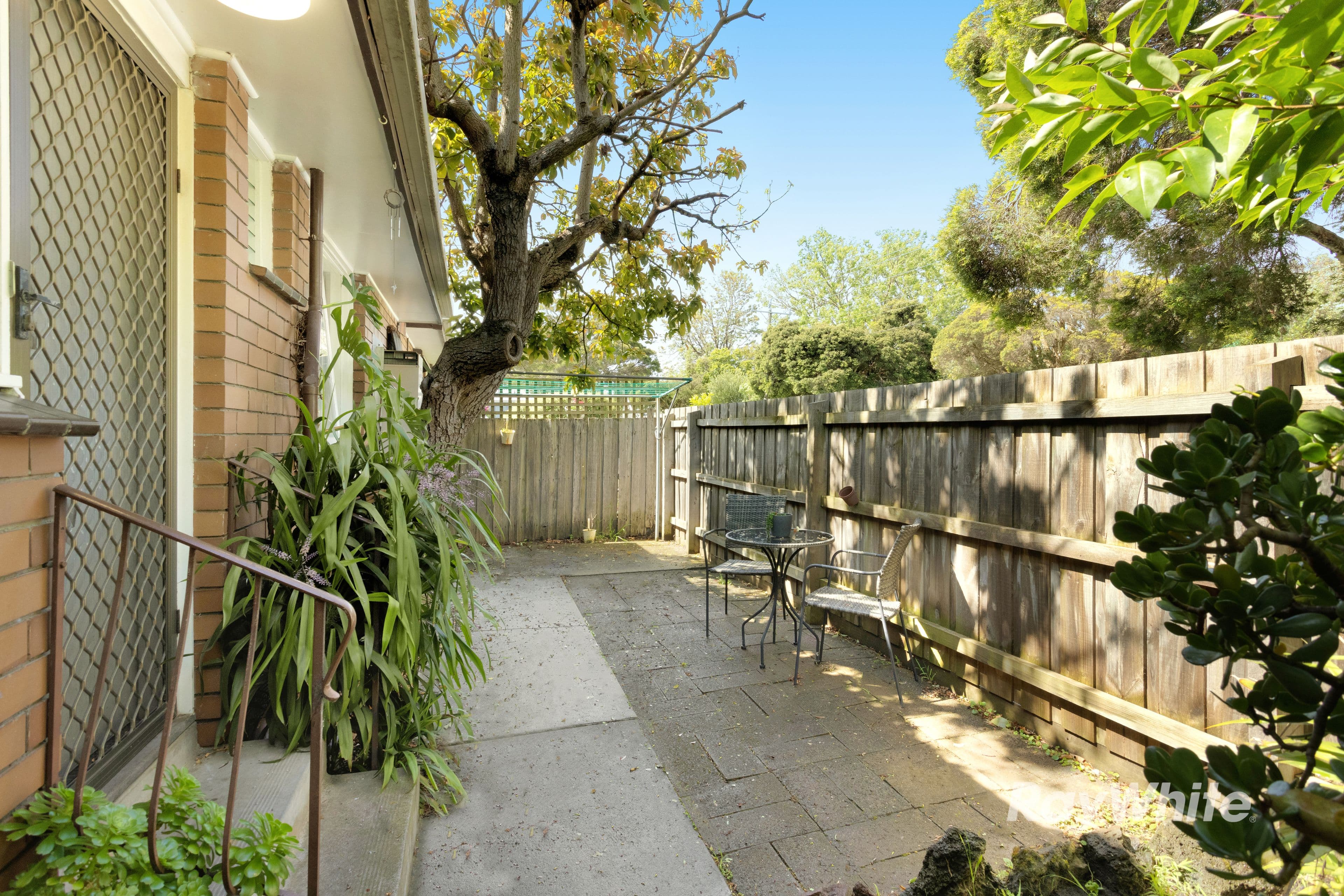66 Mimosa Road, Carnegie VIC 3163, Carnegie - Thumbnail 7
