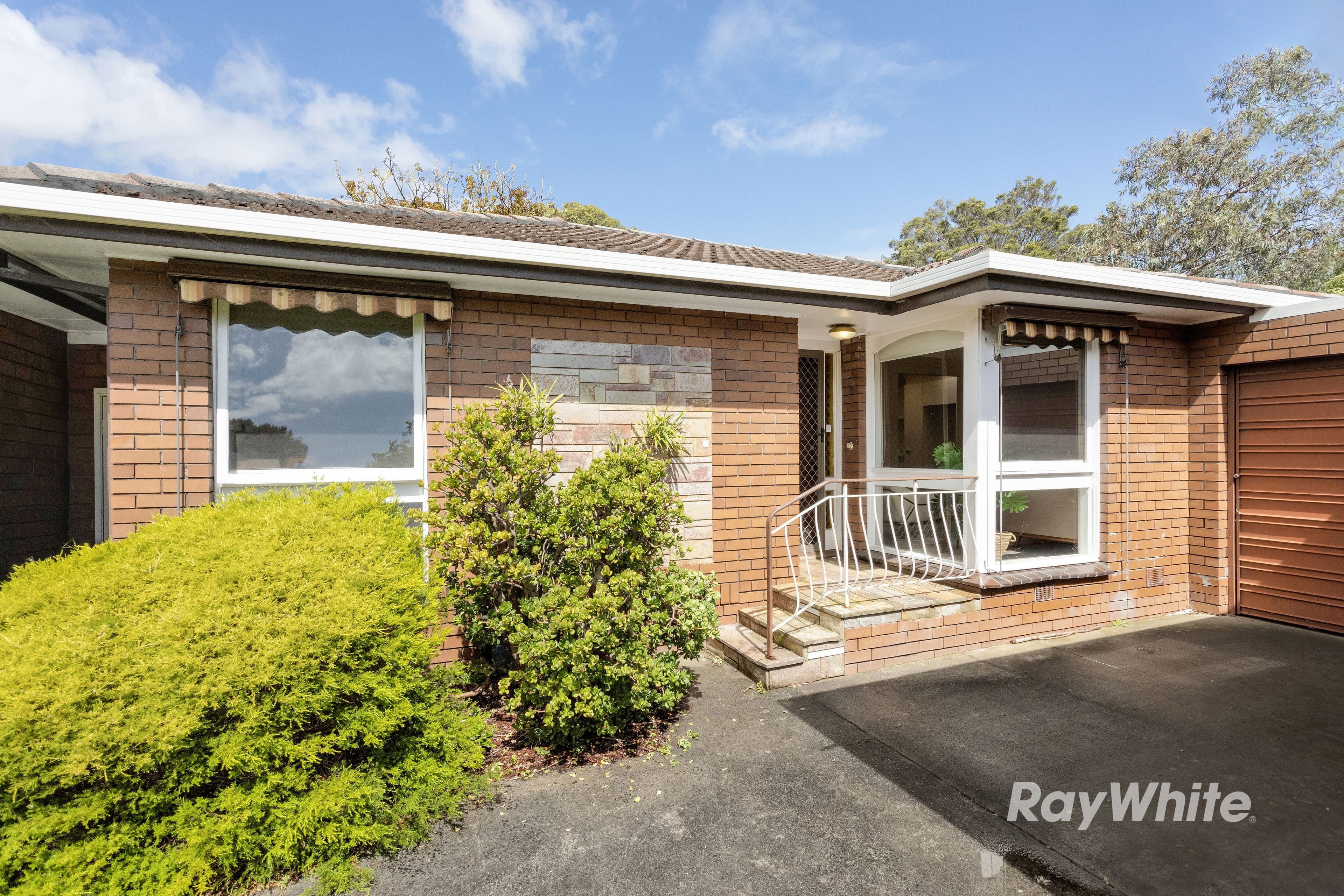 66 Mimosa Road, Carnegie VIC 3163, Carnegie - Thumbnail 8