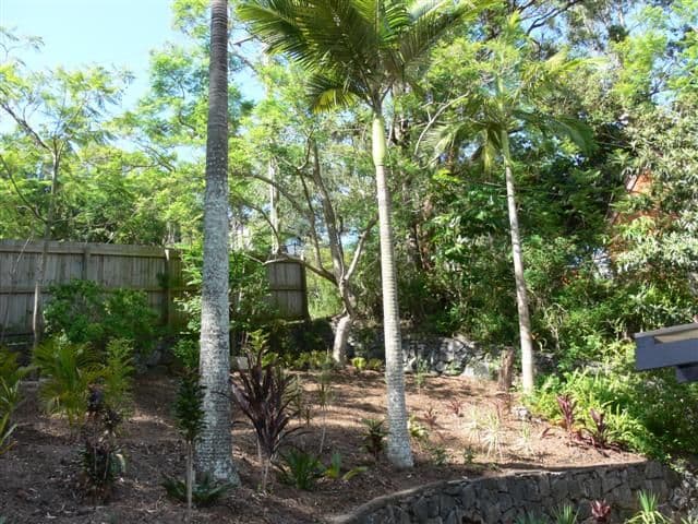 1 Dodwell Street, Holland Park West QLD 4121, Holland Park West - Thumbnail 7