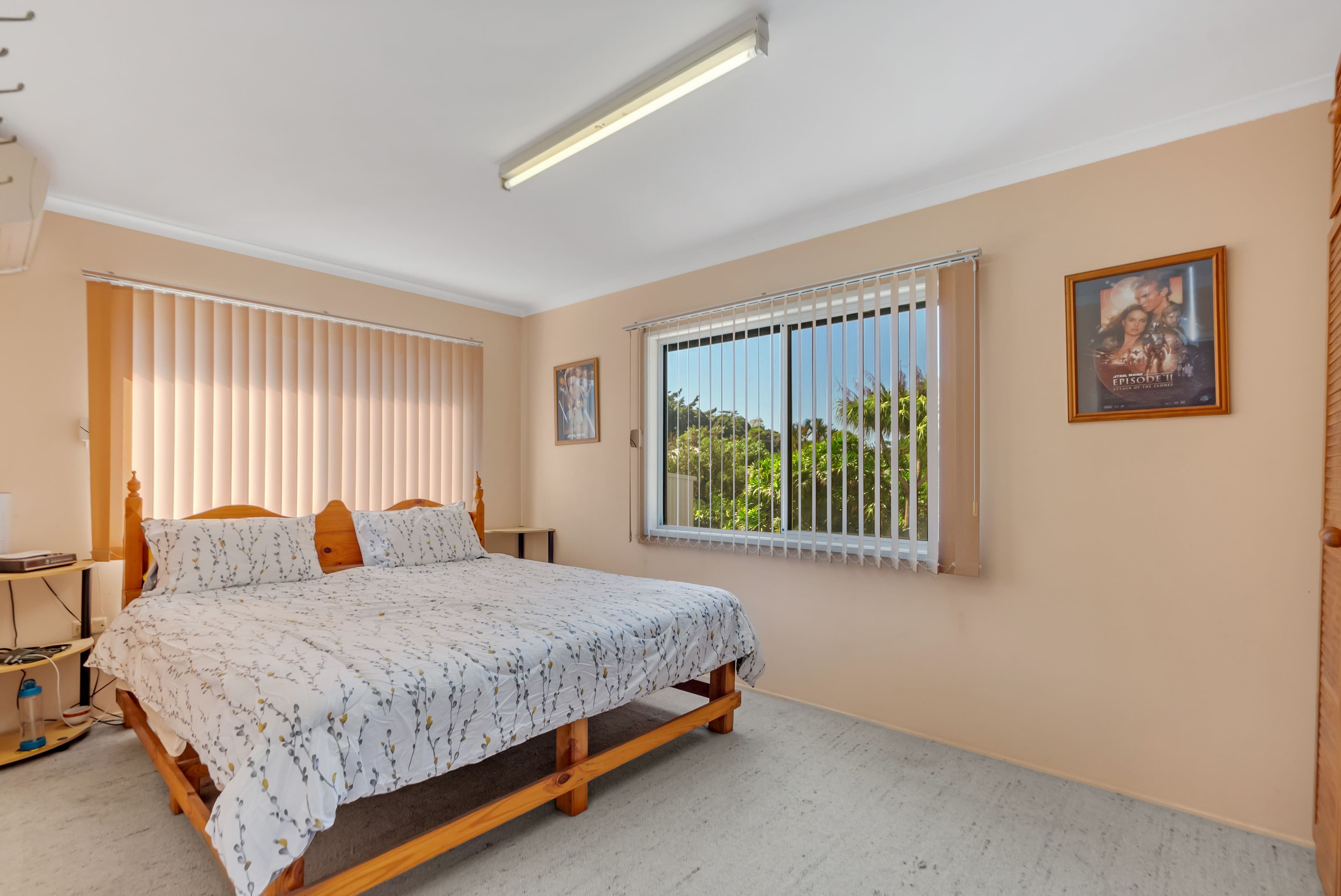 52 Griffin Street, Gordonvale QLD 4865, Gordonvale - Thumbnail 7