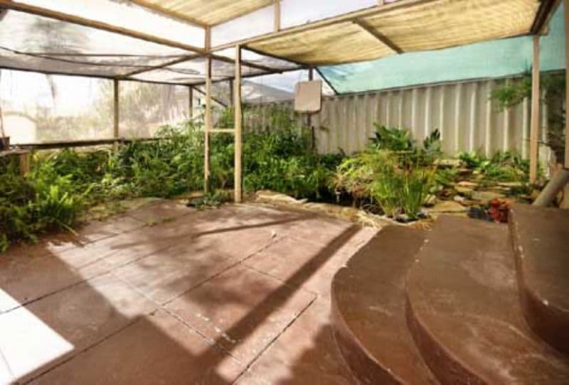 3 Elstead Way, BALGA WA 6061, Balga - Thumbnail 5