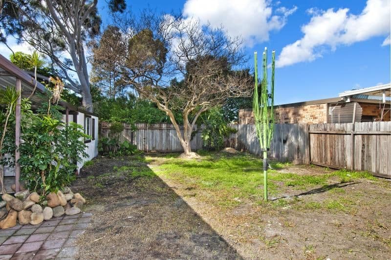 99 Wellington Street, MASCOT NSW 2020, Mascot - Thumbnail 4