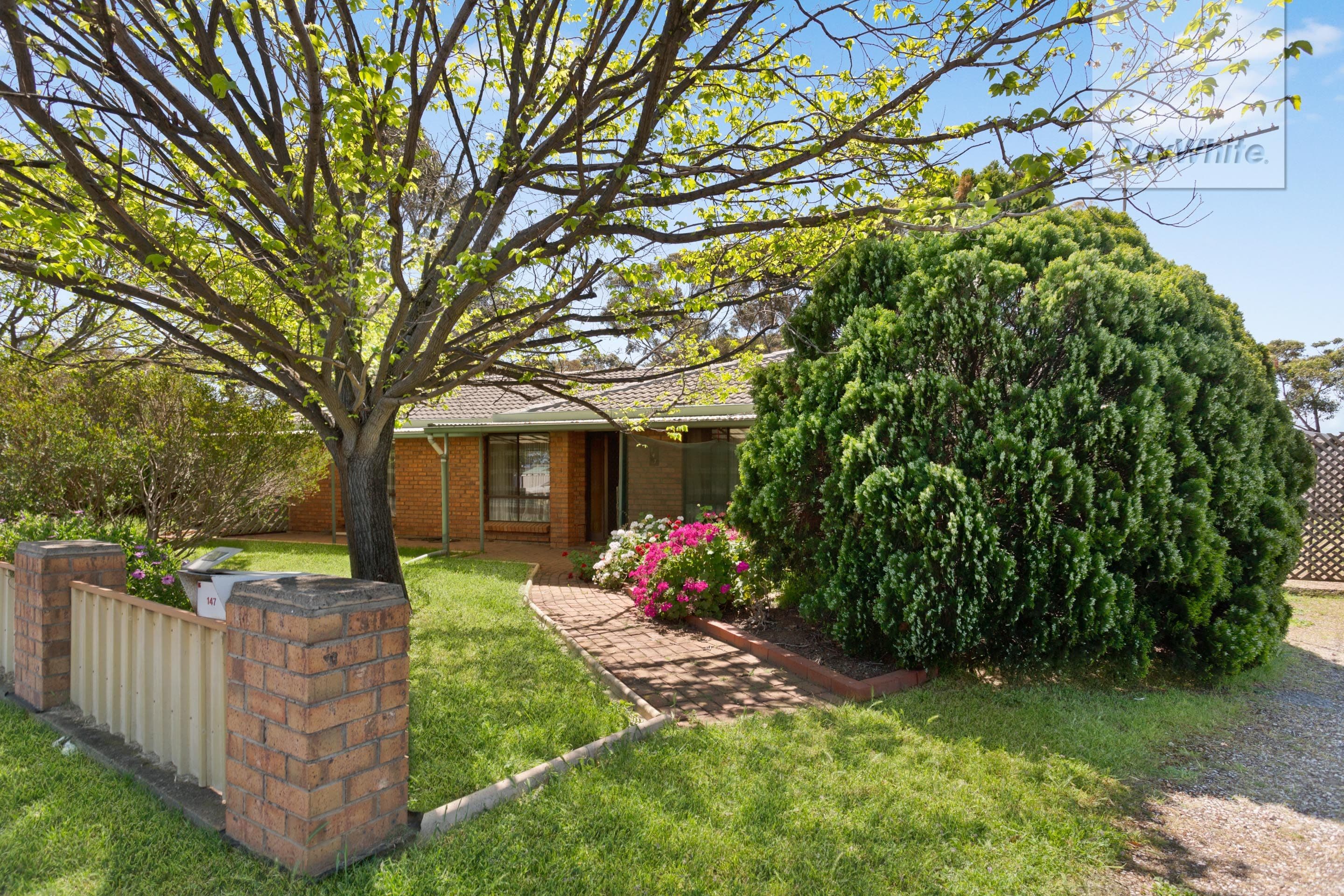 147 Commercial Road, Salisbury SA 5108, Salisbury - Thumbnail 2