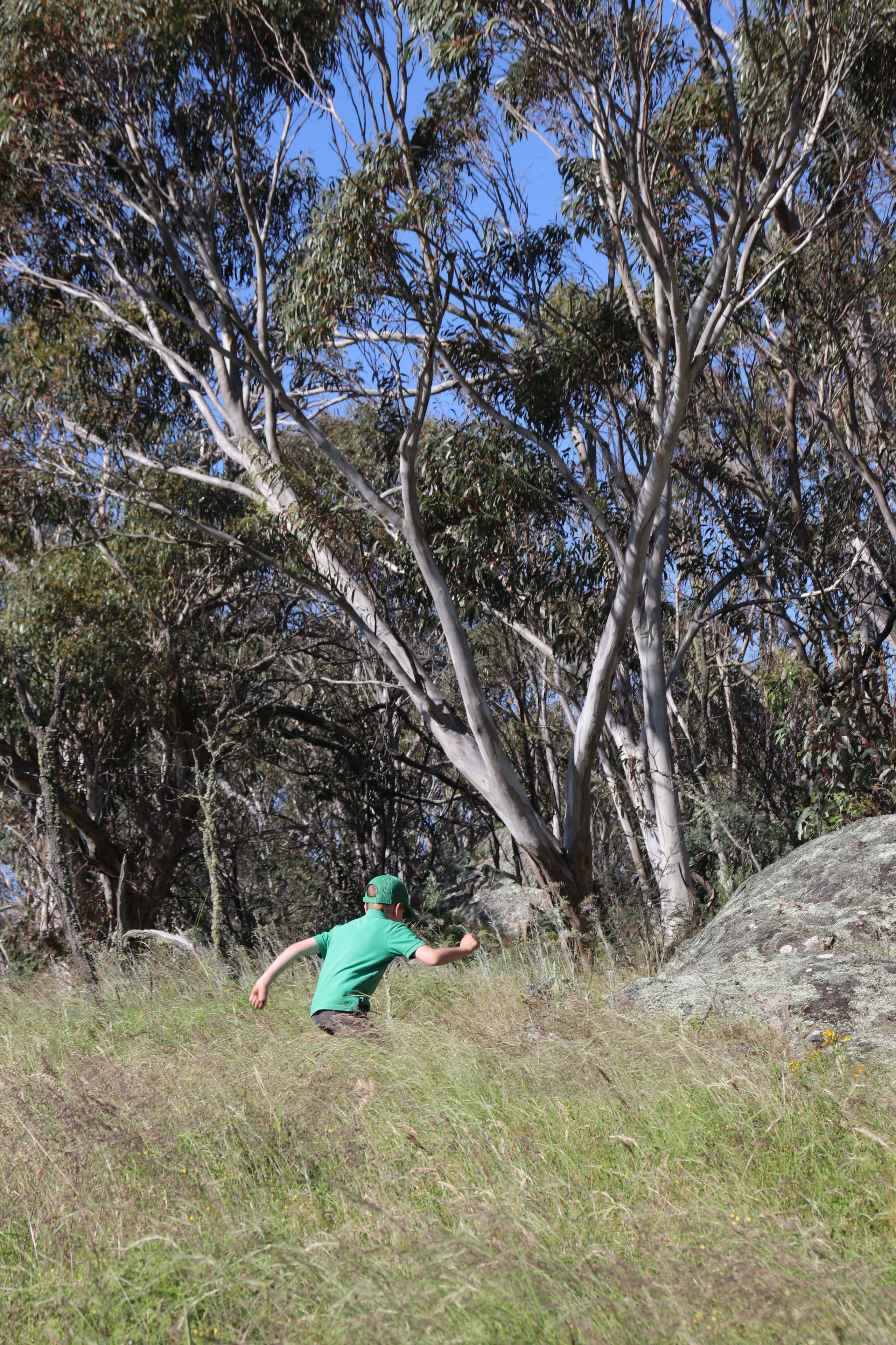 2617 Smiths Road, Clear Range NSW 2620, Clear Range - Thumbnail 3