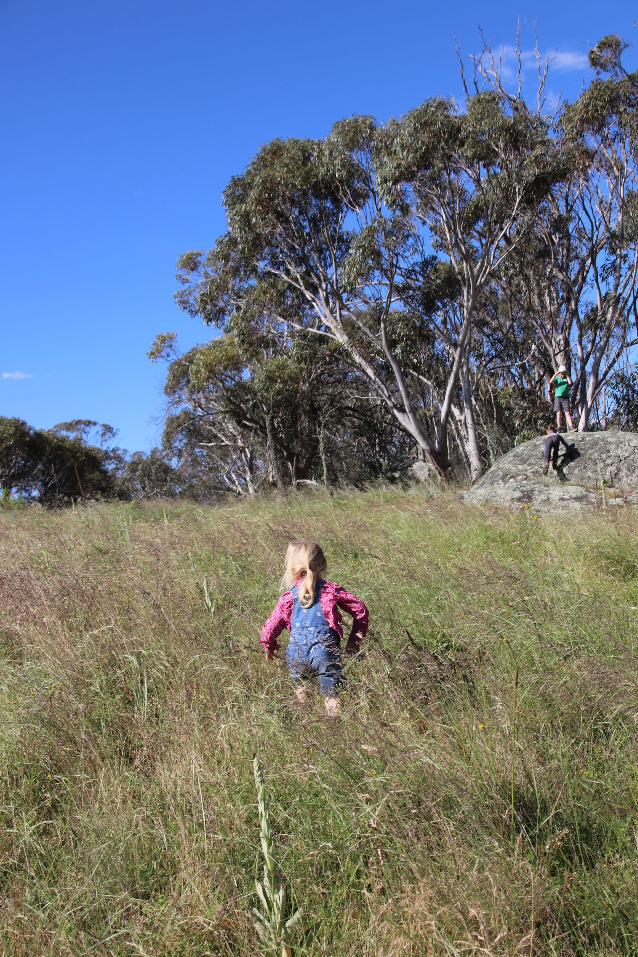 2617 Smiths Road, Clear Range NSW 2620, Clear Range - Thumbnail 4