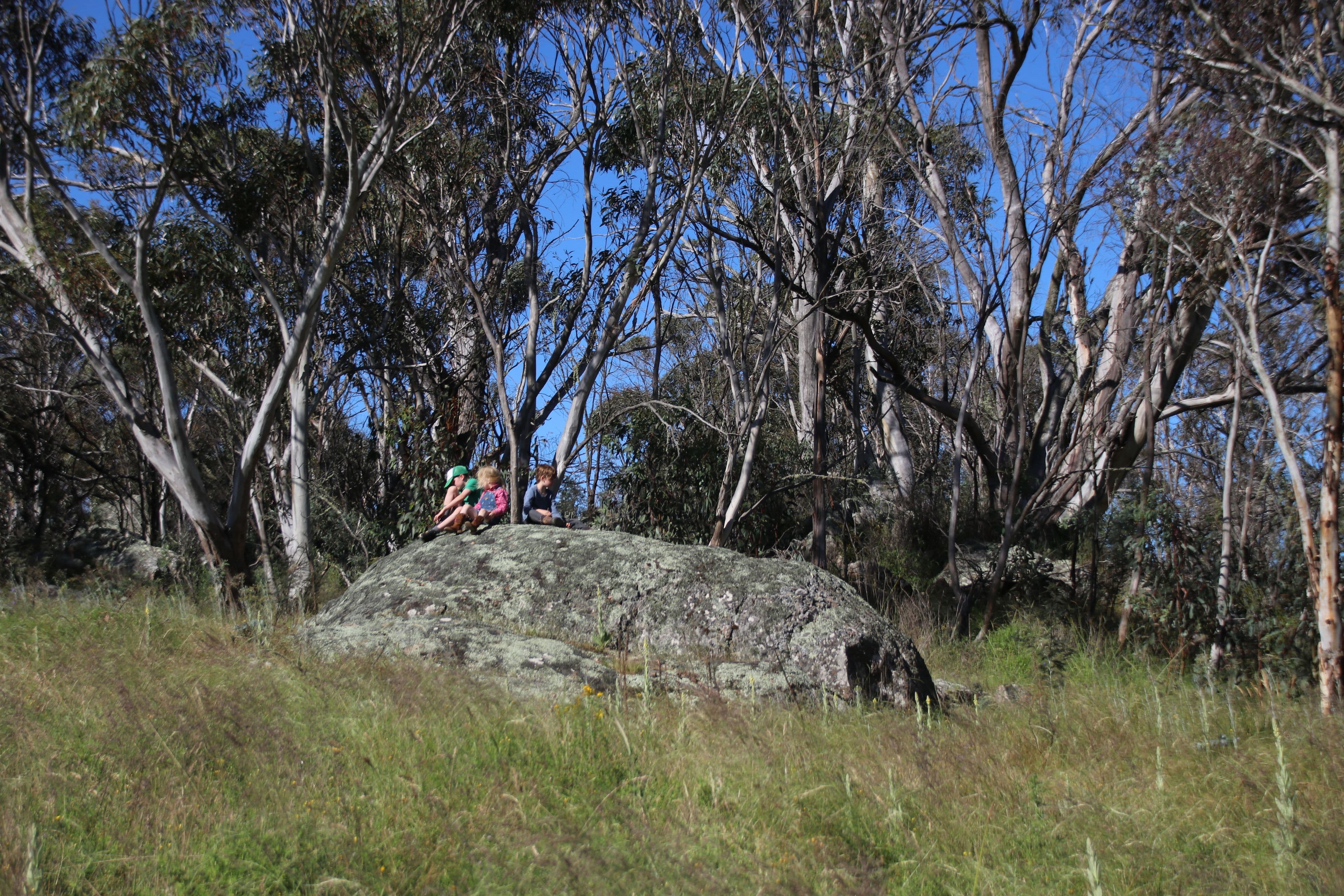 2617 Smiths Road, Clear Range NSW 2620, Clear Range - Thumbnail 5