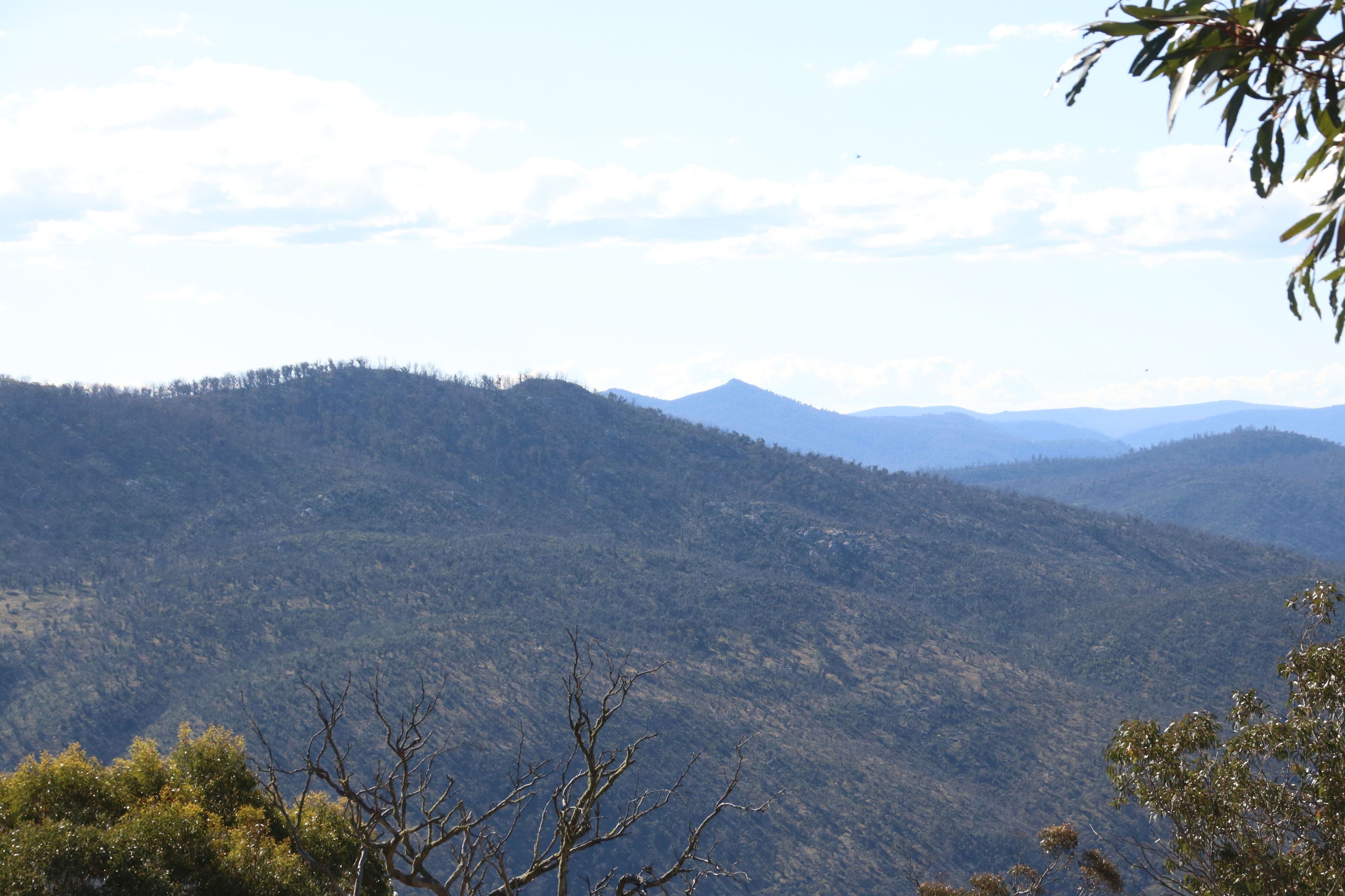 2617 Smiths Road, Clear Range NSW 2620, Clear Range - Thumbnail 7