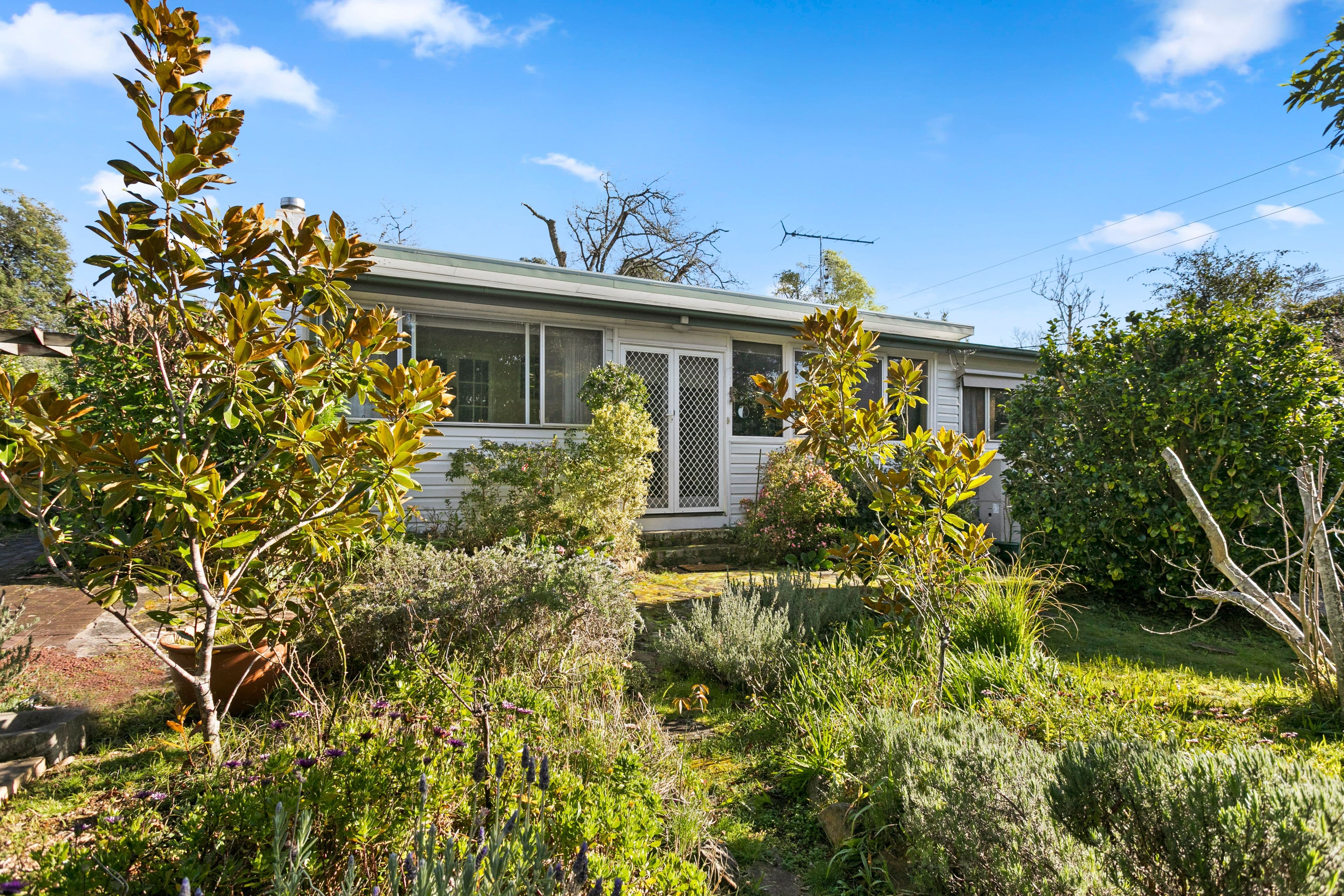 18 Orient Street, Willow Vale NSW 2575, Willow Vale - Thumbnail 3
