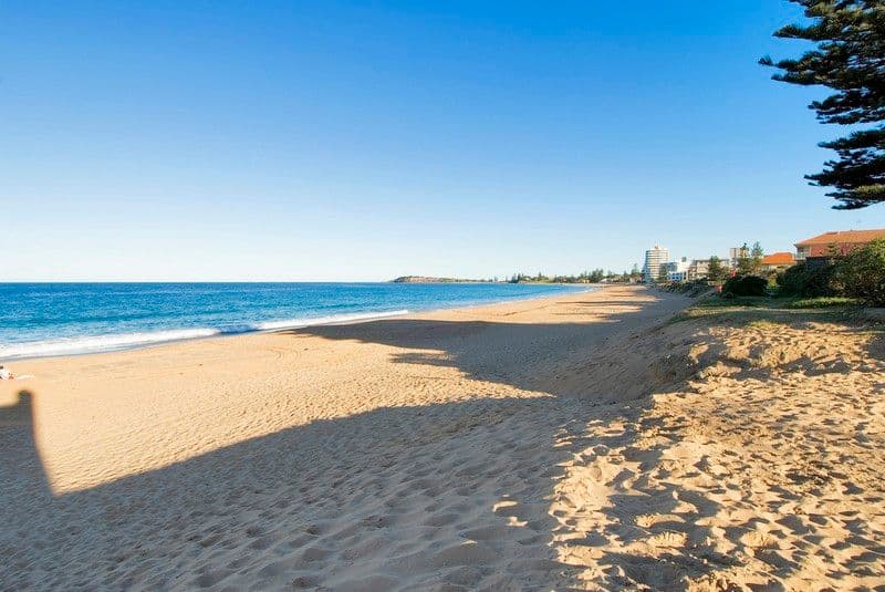 9 Mactier Street, NARRABEEN NSW 2101, Narrabeen - Thumbnail 6
