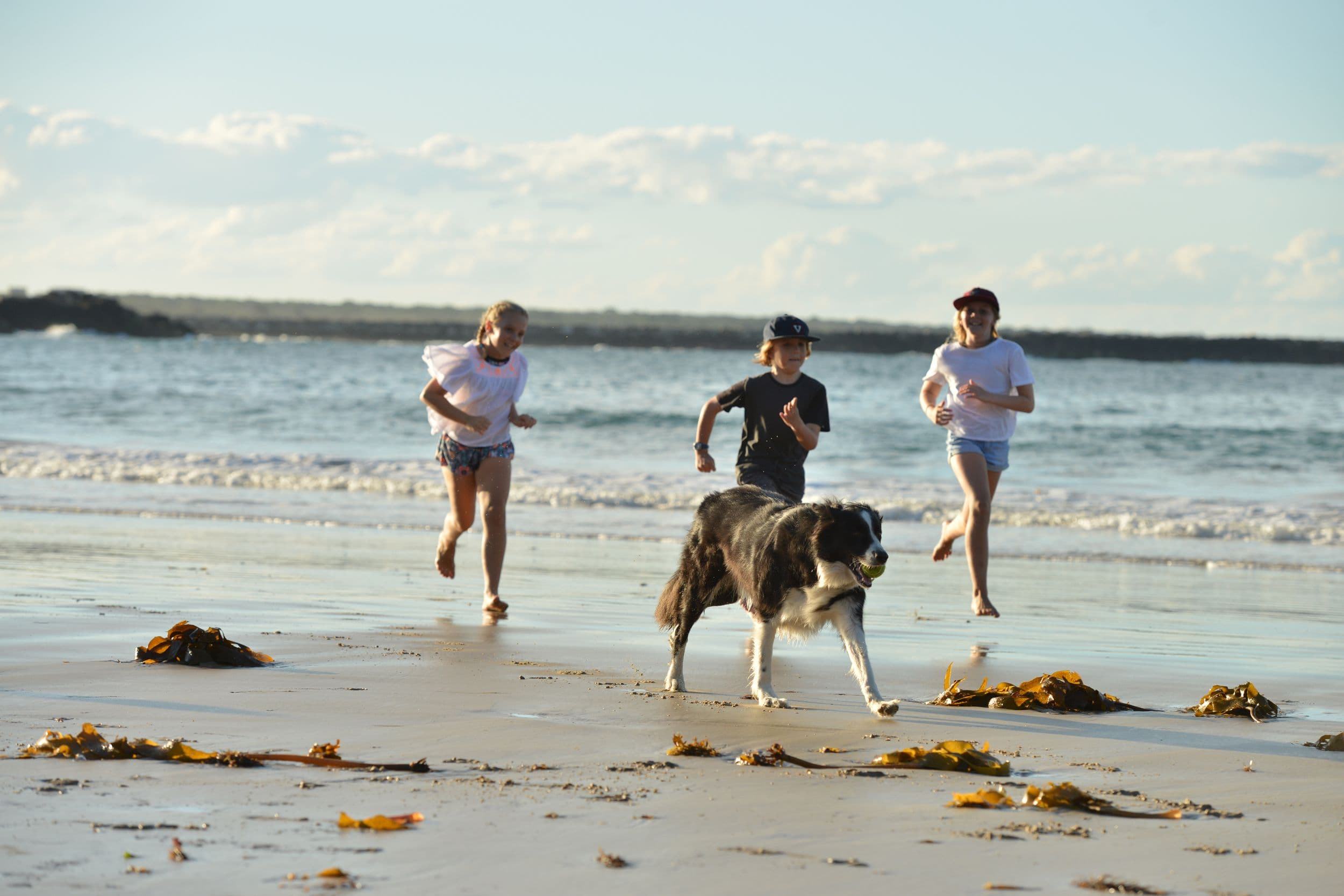 8 Harbour Street, Yamba - Thumbnail 3