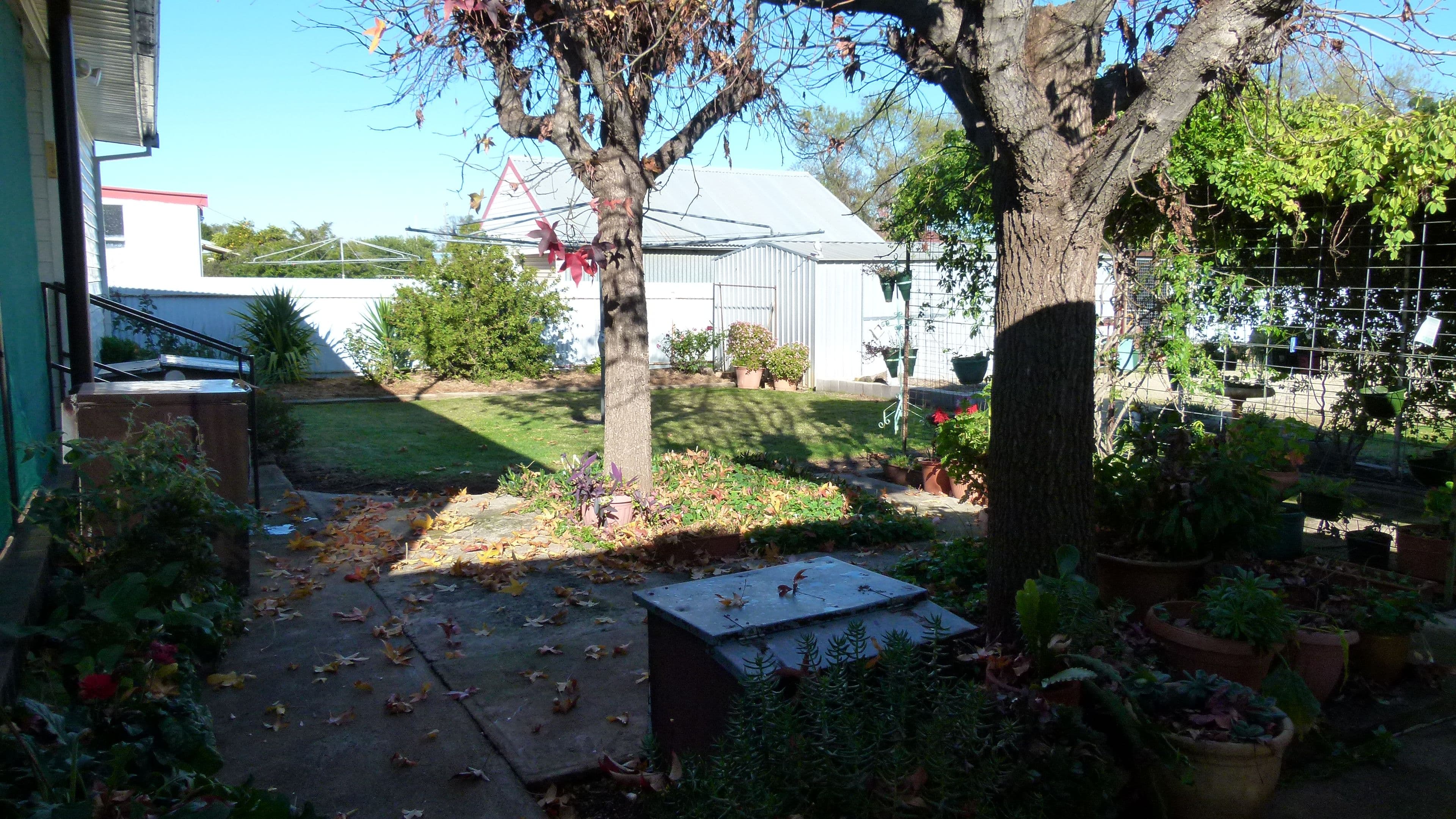 156 Farnell Street, Forbes - Thumbnail 7