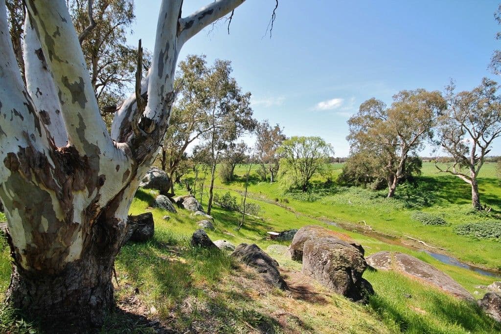 819 Monteagle Stock Route West, Young NSW 2594, Young - Thumbnail 2