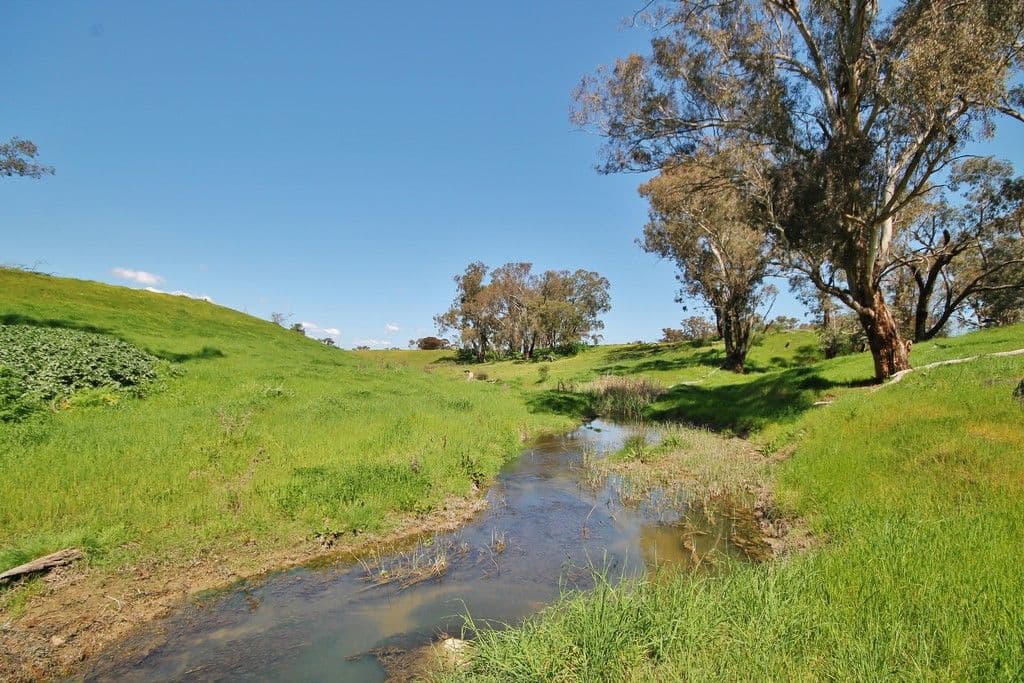 819 Monteagle Stock Route West, Young NSW 2594, Young - Thumbnail 4