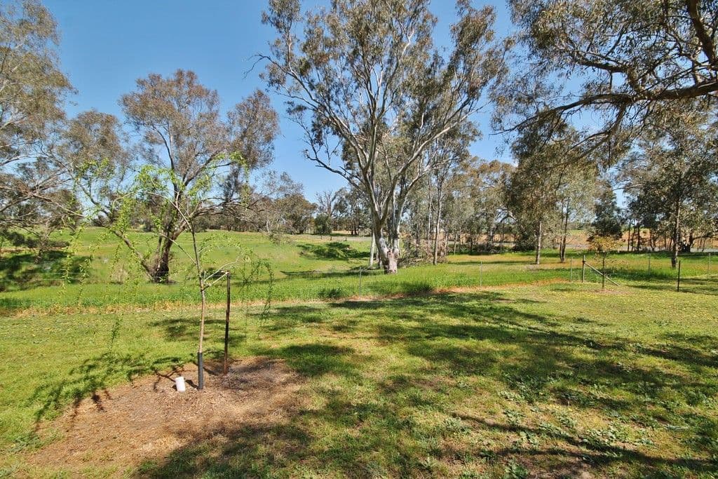 819 Monteagle Stock Route West, Young NSW 2594, Young - Thumbnail 6