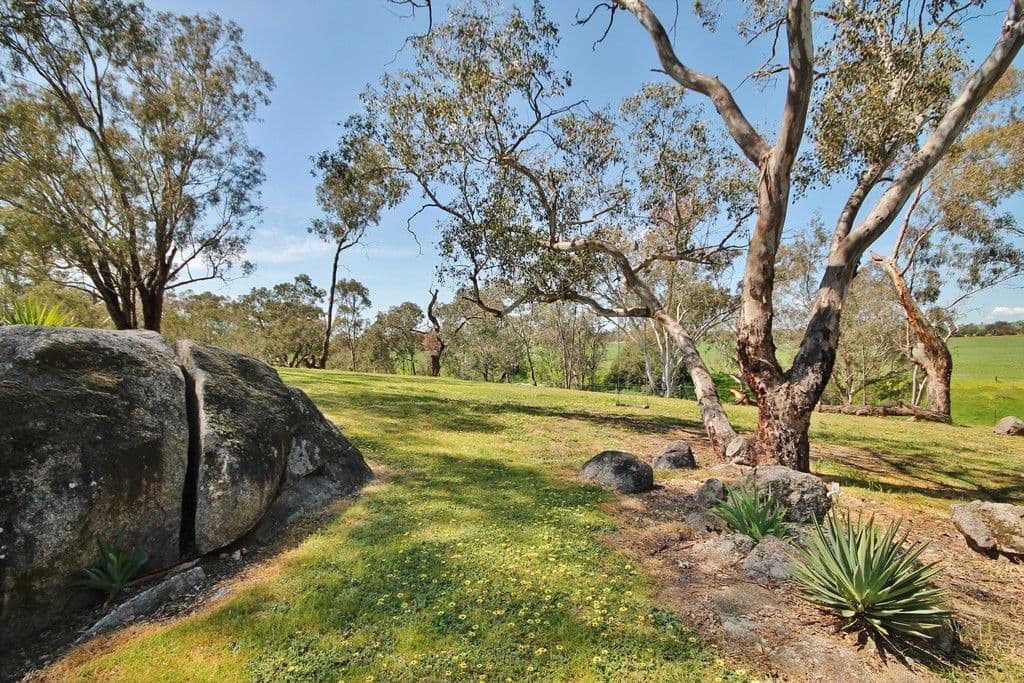 819 Monteagle Stock Route West, Young NSW 2594, Young - Thumbnail 8