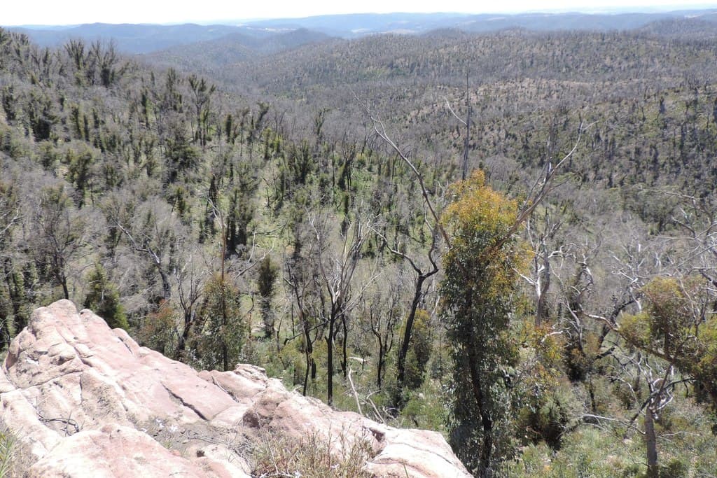 701 Bannaby Road, Taralga - Thumbnail 3