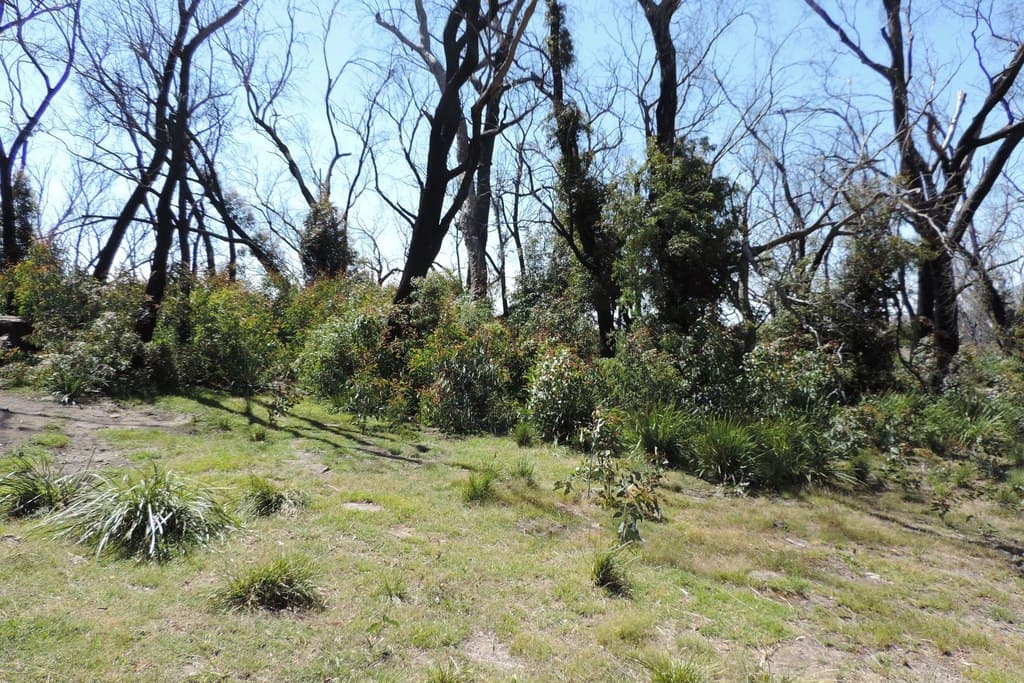 701 Bannaby Road, Taralga - Thumbnail 5
