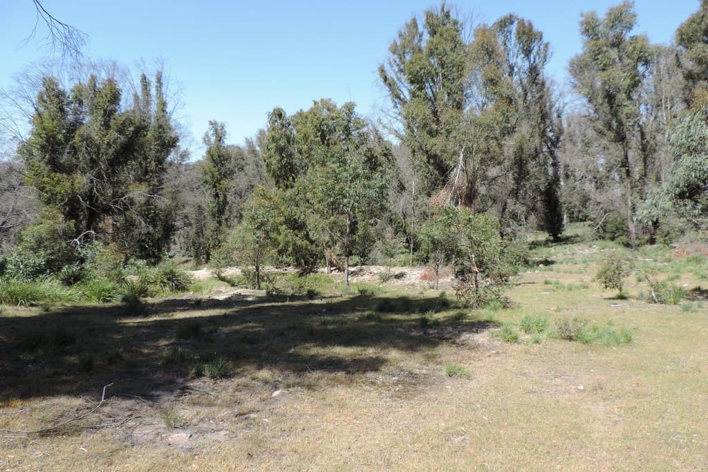 701 Bannaby Road, Taralga - Thumbnail 6