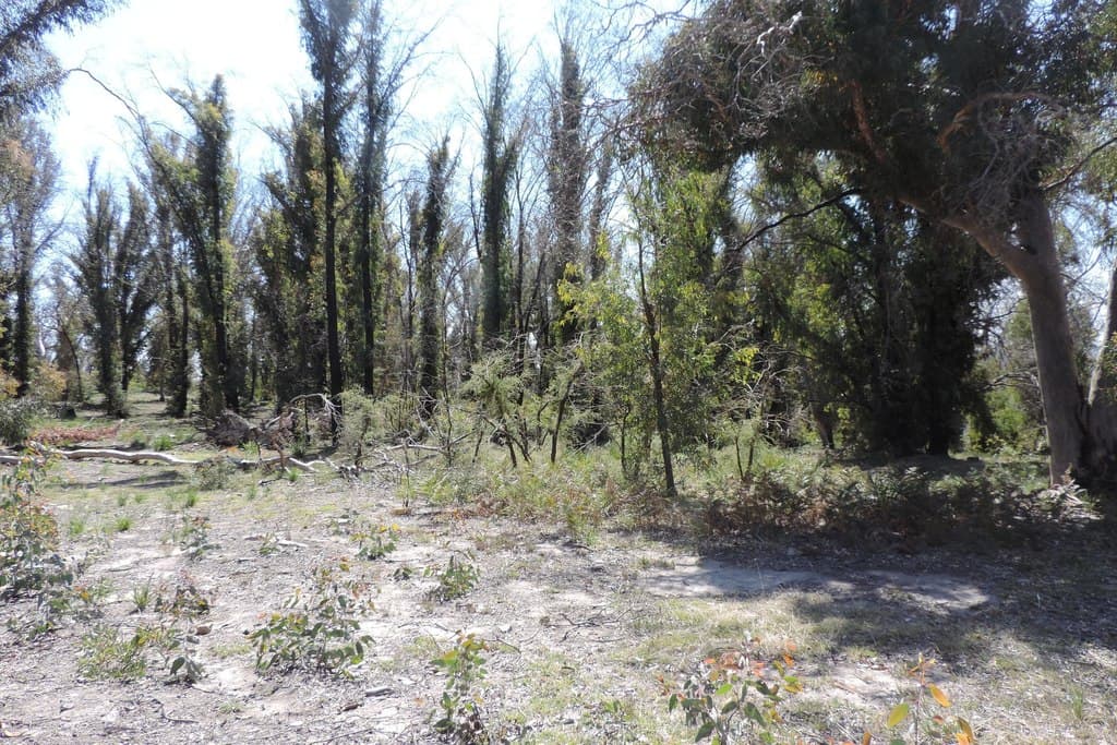 701 Bannaby Road, Taralga - Thumbnail 7