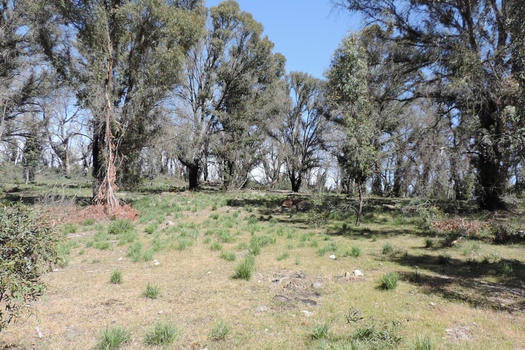701 Bannaby Road, Taralga - Thumbnail 8
