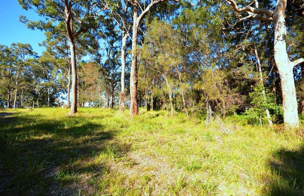 12 Odalberree Drive, Urunga NSW 2455, Urunga - Thumbnail 5