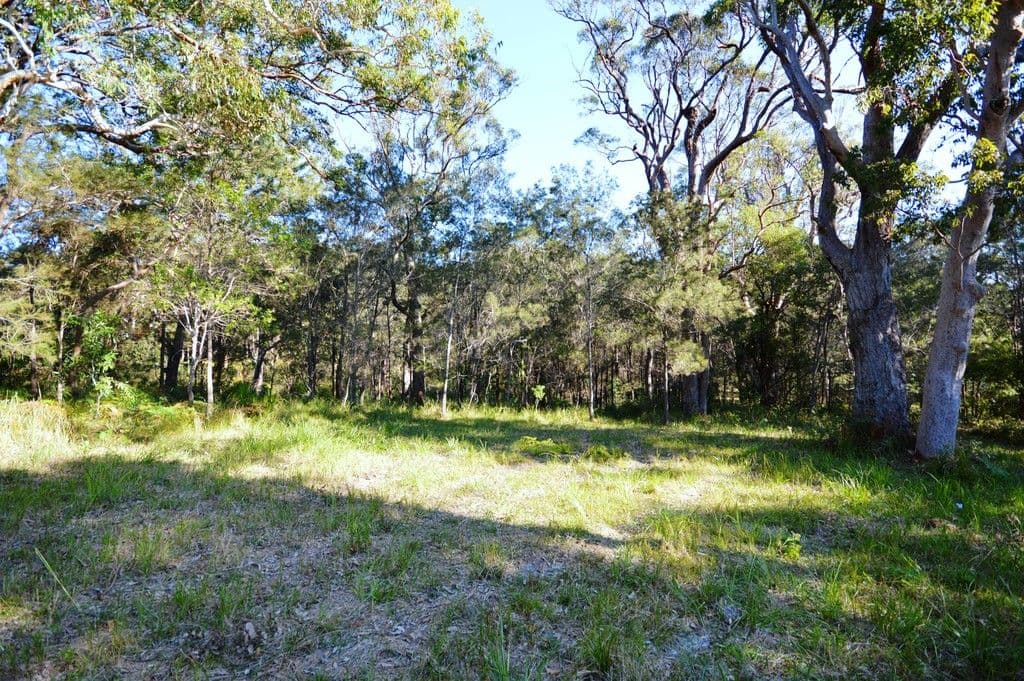 12 Odalberree Drive, Urunga NSW 2455, Urunga - Thumbnail 6