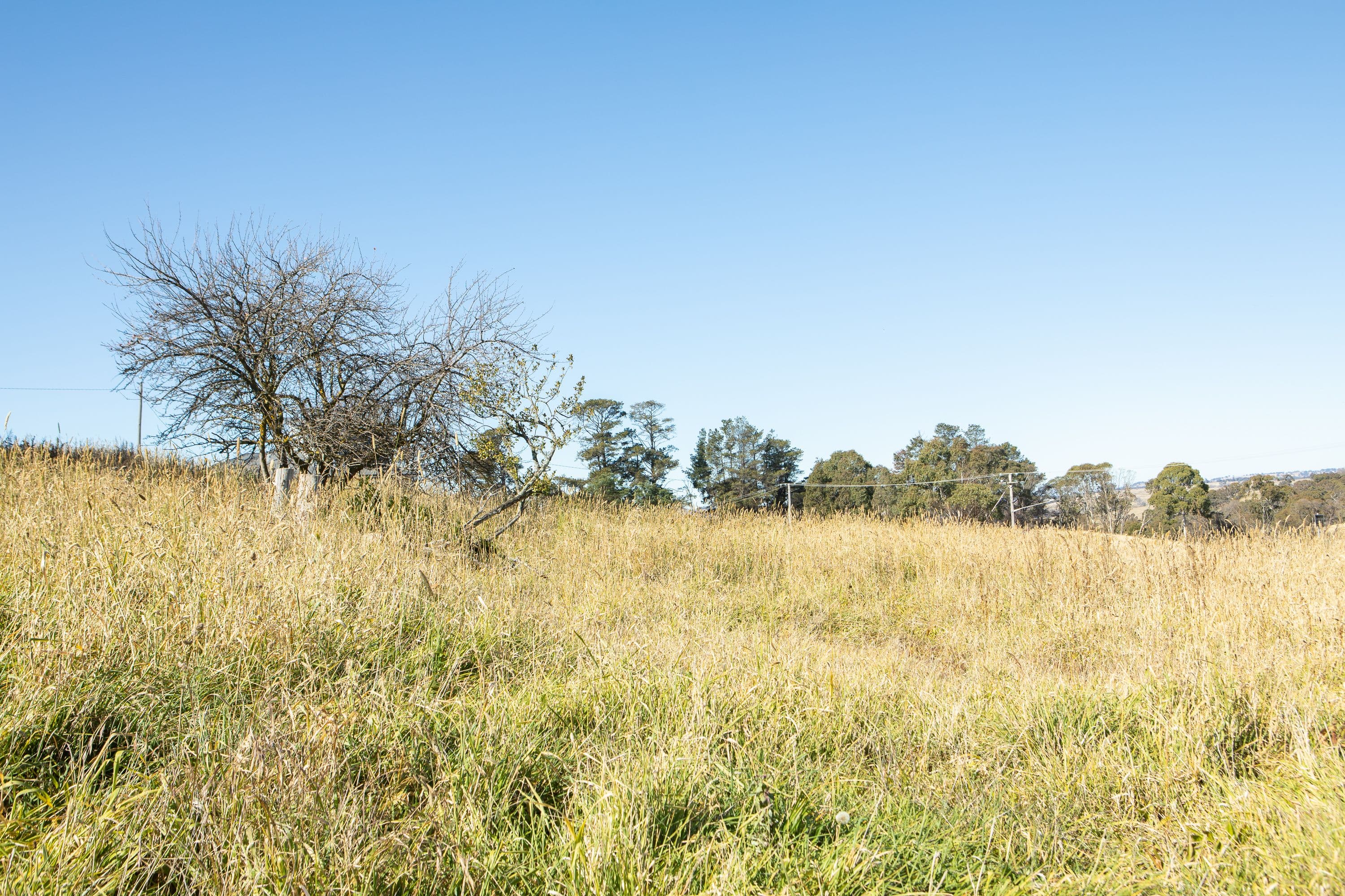106 Sandon Street, Guyra NSW 2365, South Guyra - Thumbnail 2