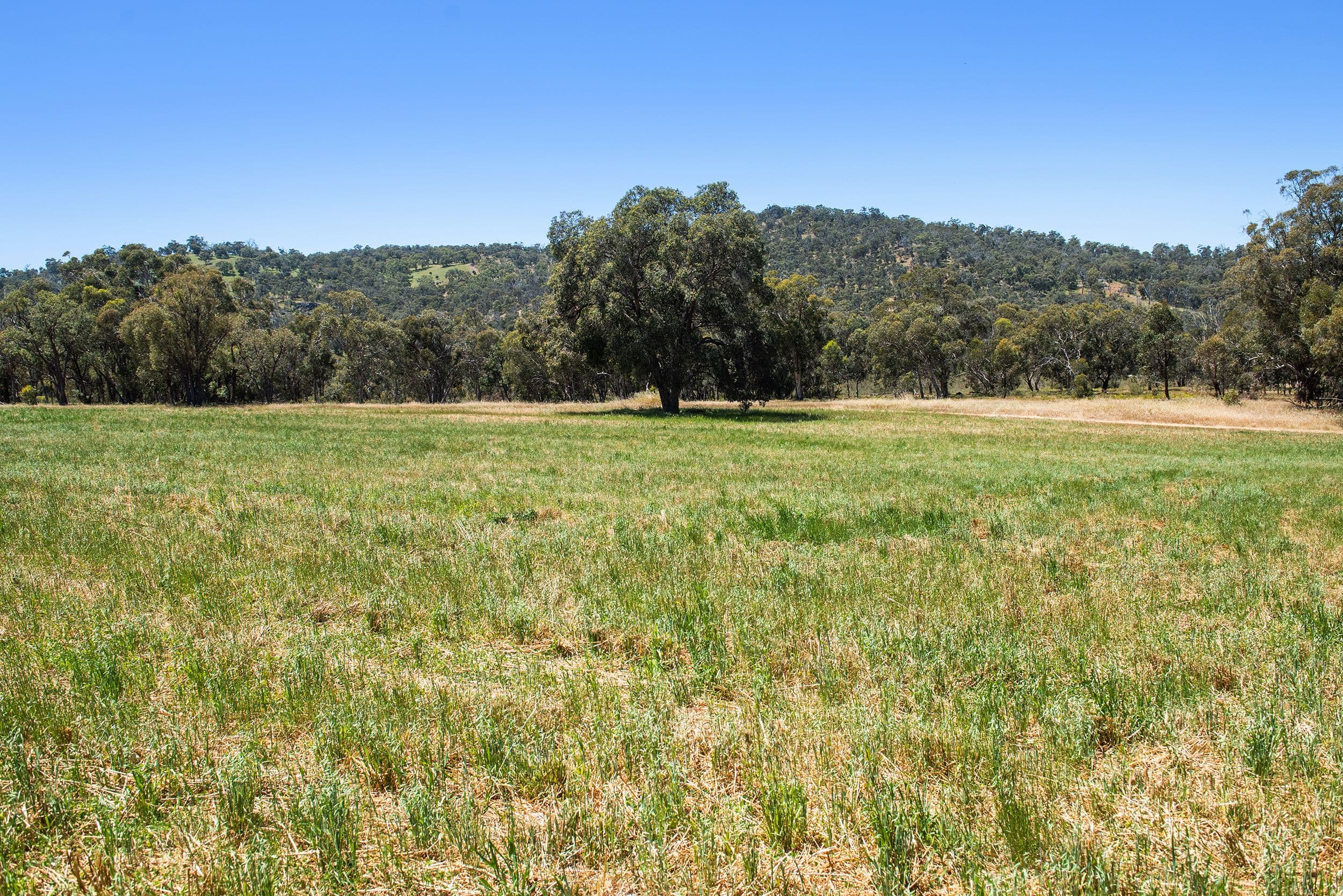 751 Chittering Valley Road, Lower Chittering WA 6084, Lower Chittering - Thumbnail 8