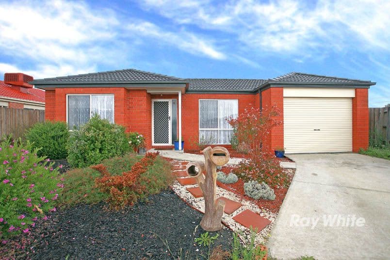 16 Bellbrae Crescent, CRANBOURNE VIC 3977, Cranbourne West - Thumbnail 2