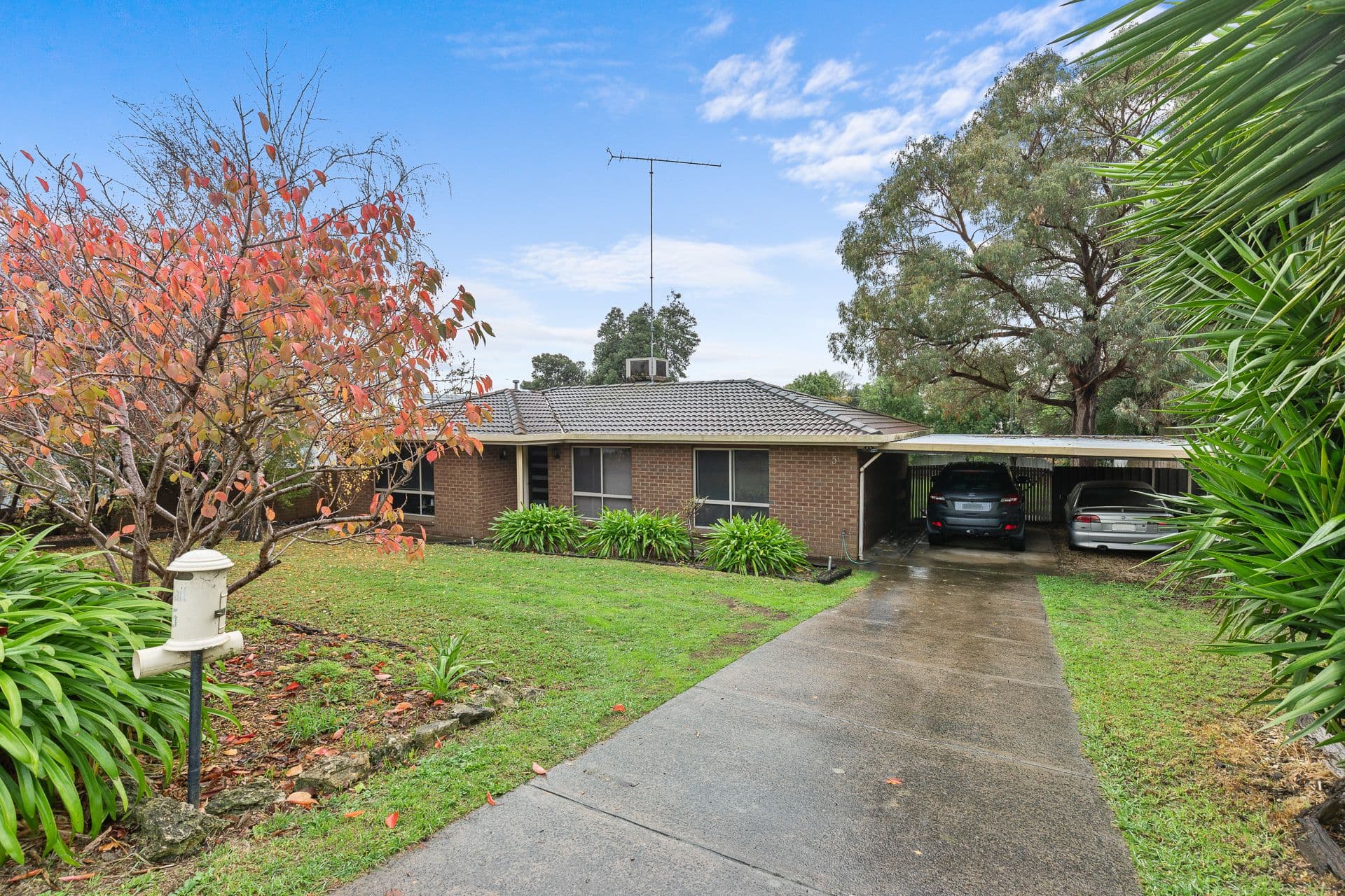 5 Buronga Avenue, Mount Gambier SA 5290, Mount Gambier - Image 1