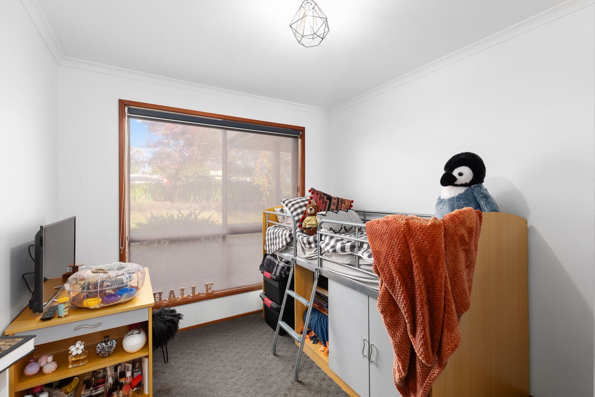 5 Buronga Avenue, Mount Gambier SA 5290, Mount Gambier - Thumbnail 6