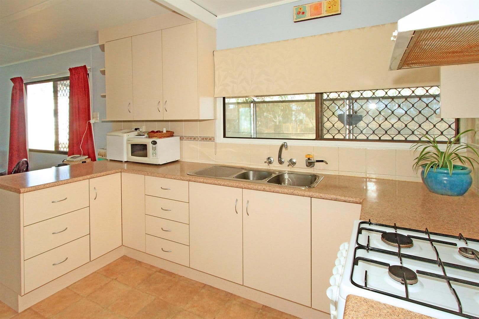 381 Alton Downs - Nine Mile Road, ALTON DOWNS QLD 4702, Alton Downs - Thumbnail 3