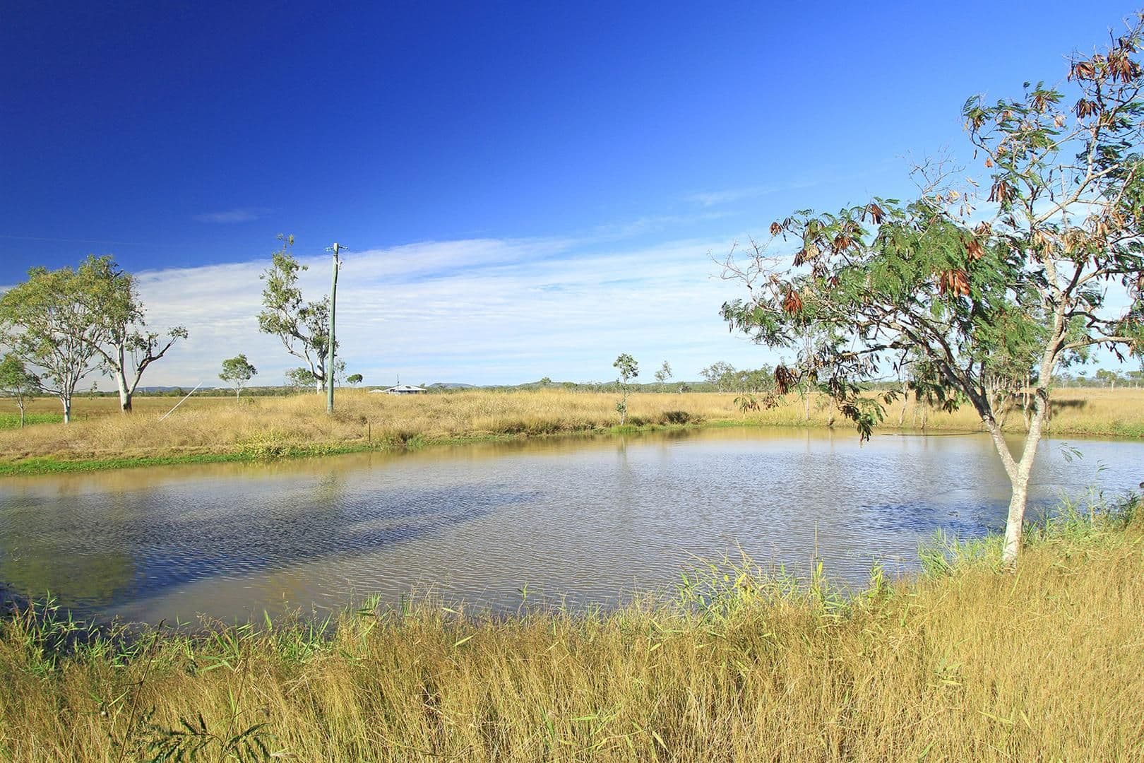 381 Alton Downs - Nine Mile Road, ALTON DOWNS QLD 4702, Alton Downs - Thumbnail 4
