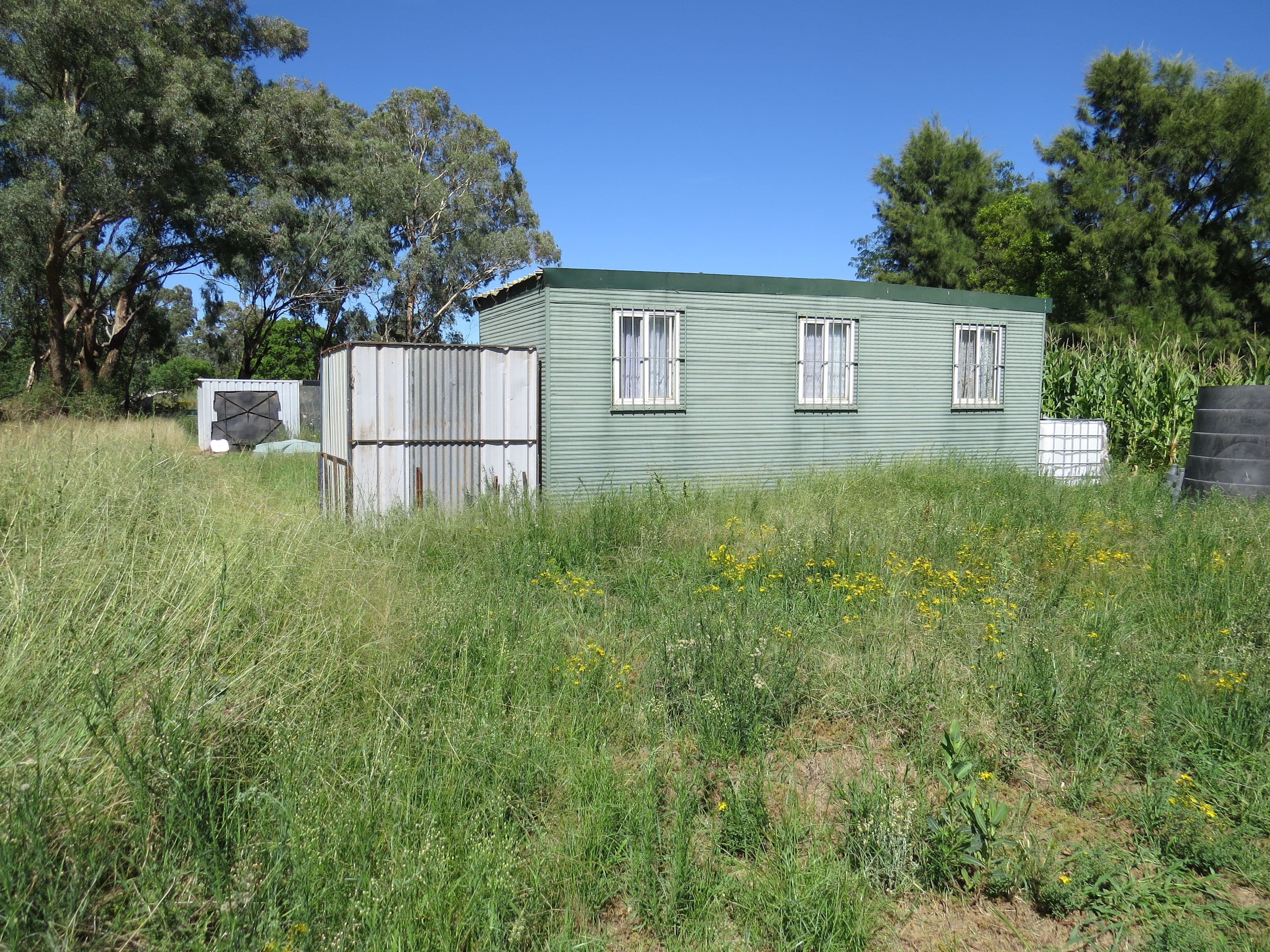 25 Lachlan Street, Koorawatha NSW 2807, Koorawatha - Thumbnail 2