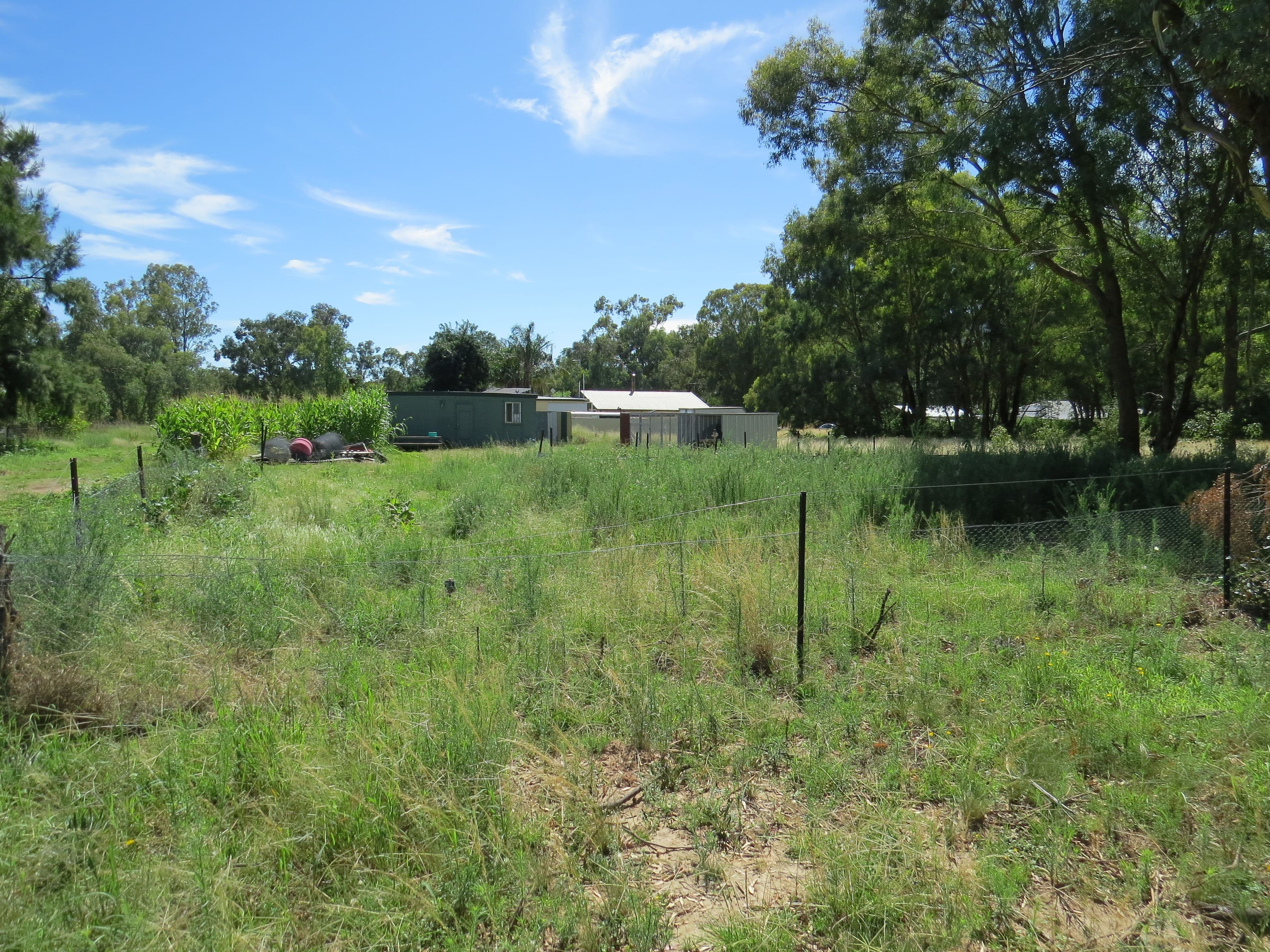 25 Lachlan Street, Koorawatha NSW 2807, Koorawatha - Thumbnail 3