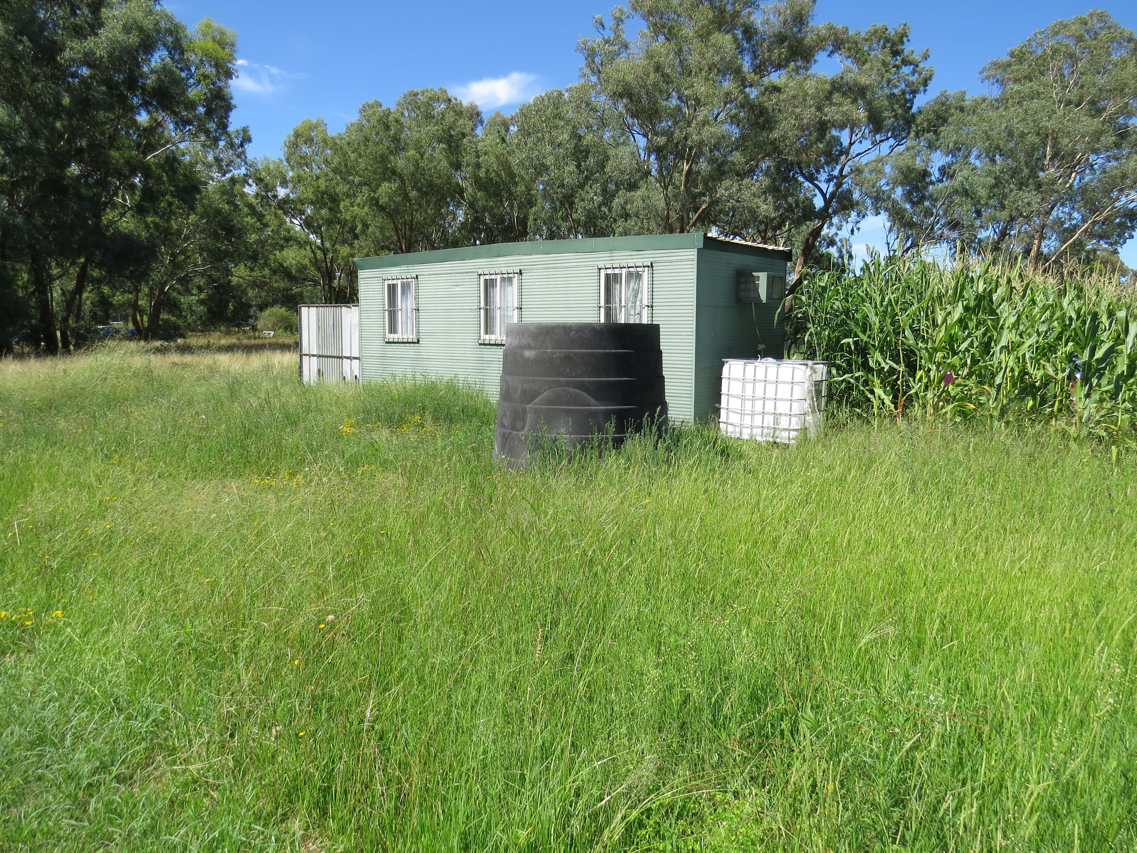 25 Lachlan Street, Koorawatha NSW 2807, Koorawatha - Thumbnail 4
