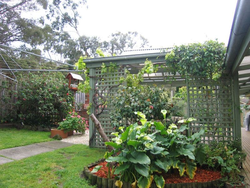 8 Chalmers Grove, UPPER FERNTREE GULLY VIC 3156, Upper Ferntree Gully - Thumbnail 7